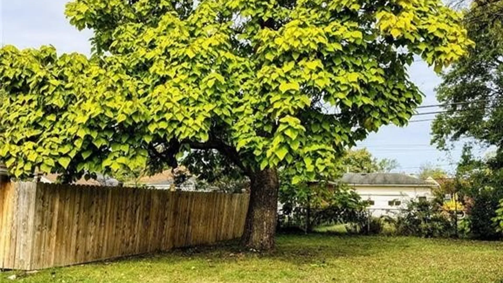Property at 76 Sandra Drive, Cheektowaga, NY 14225 17
