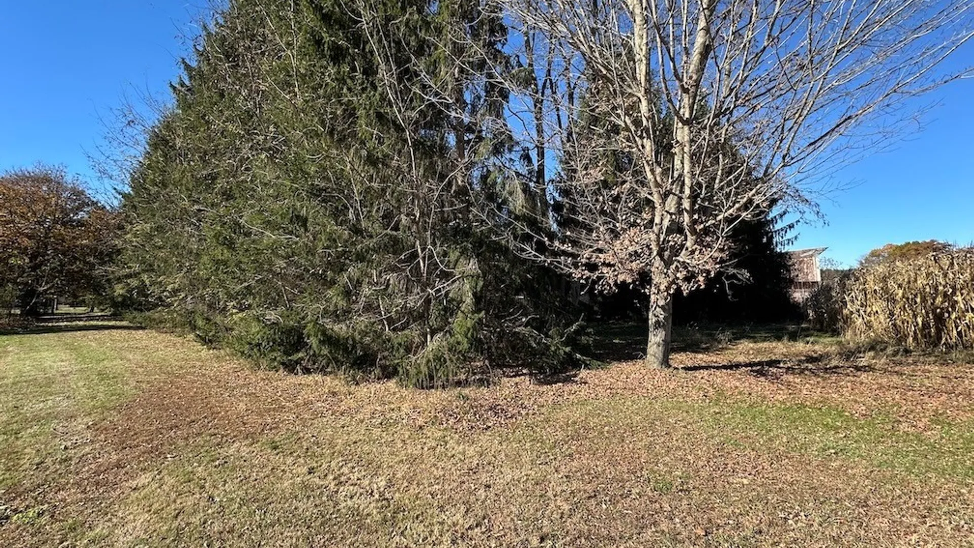 Property at 8976 State Route 19, Caneadea, NY 14717 41