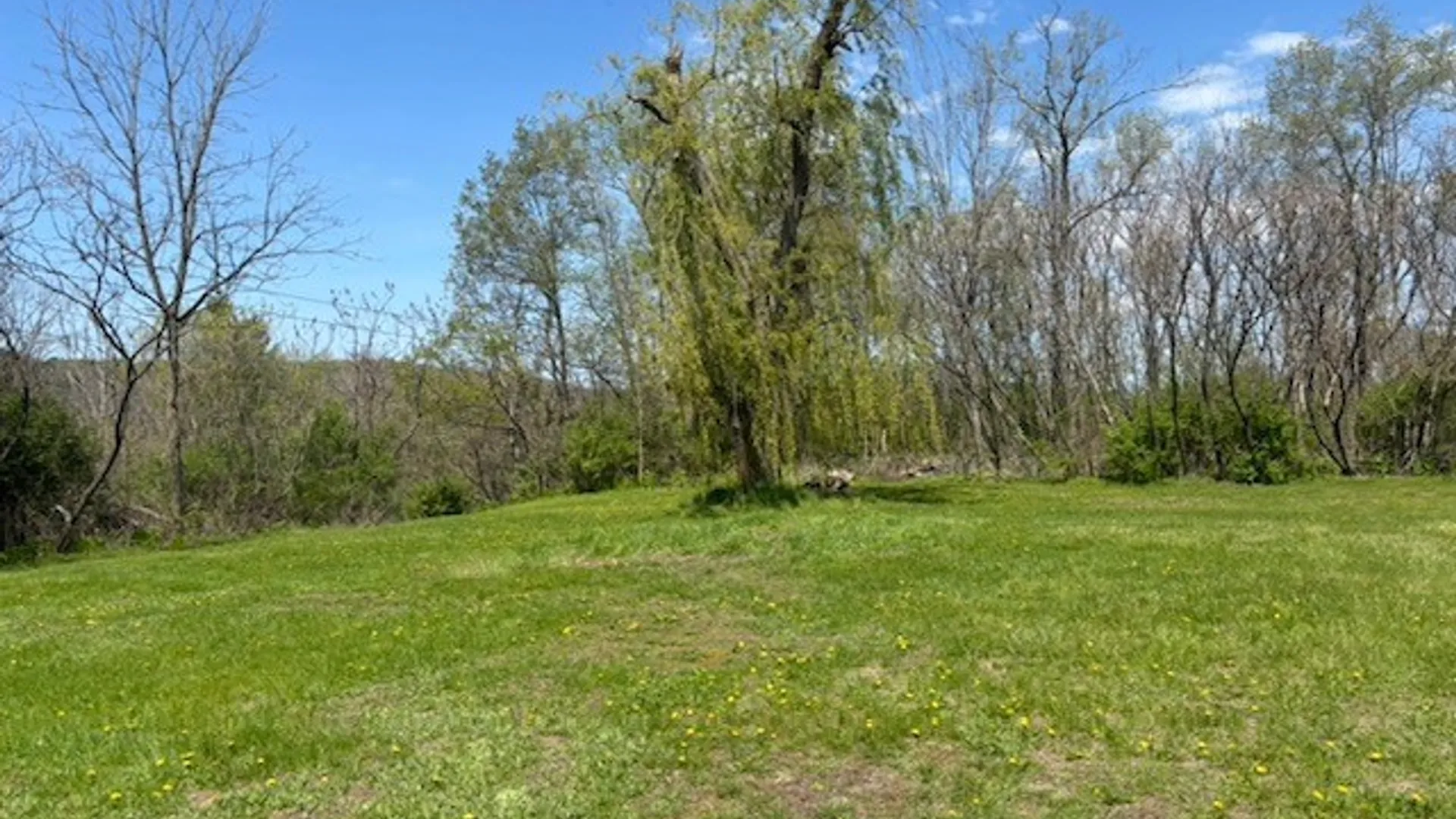 Property at 614 Owego Road, Candor, NY 13743 21