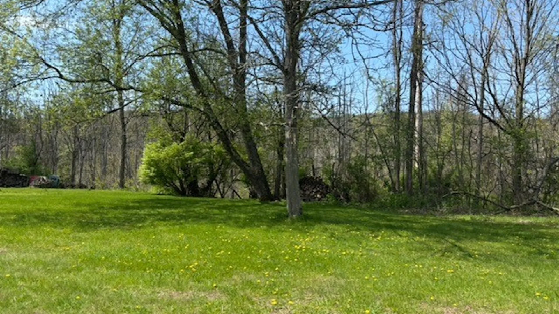 Property at 614 Owego Road, Candor, NY 13743 22