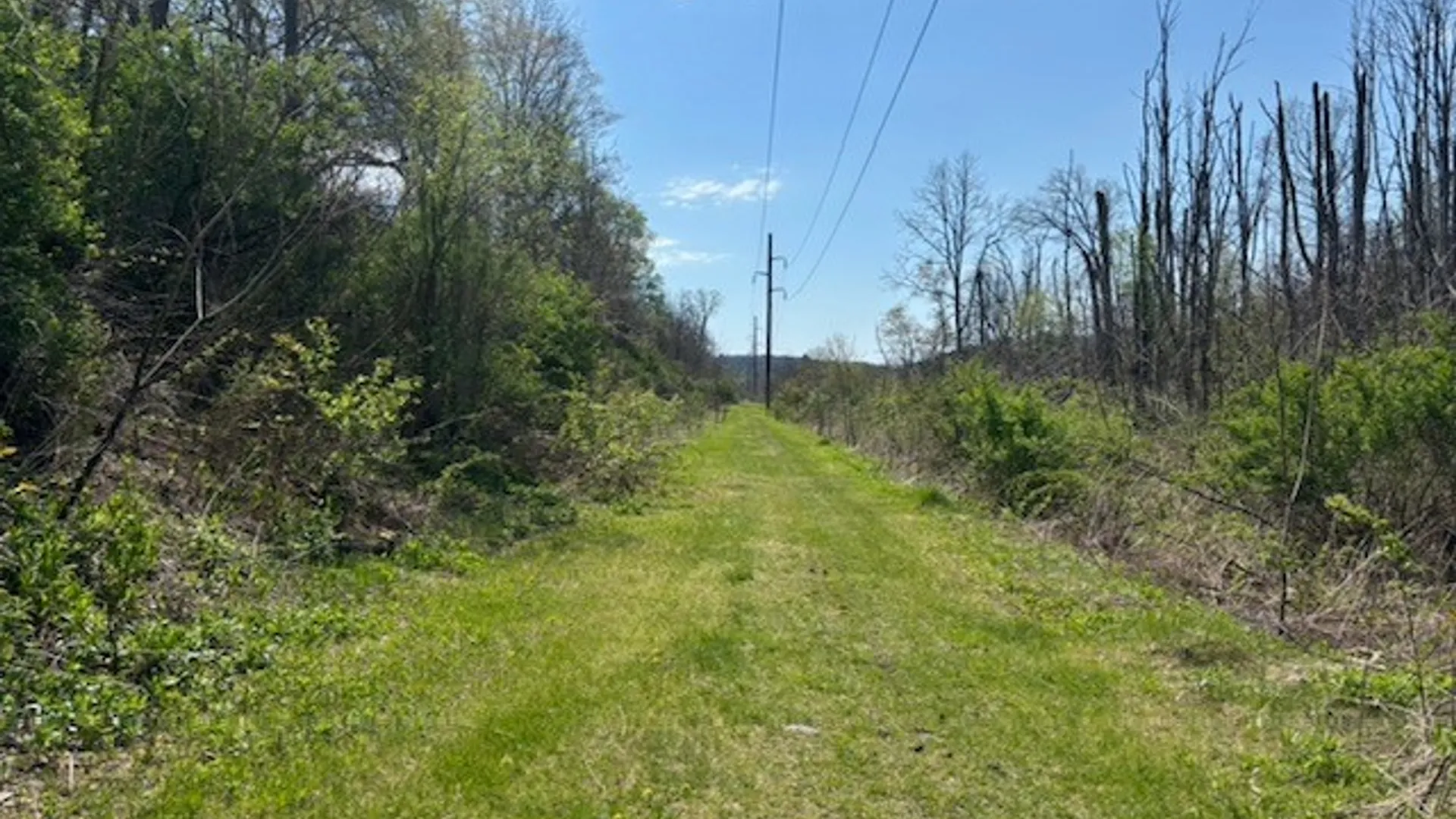Property at 614 Owego Road, Candor, NY 13743 23