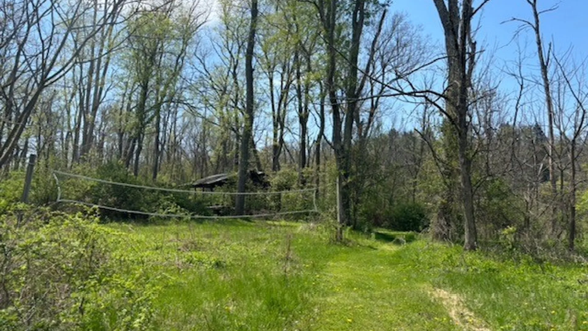 Property at 614 Owego Road, Candor, NY 13743 24