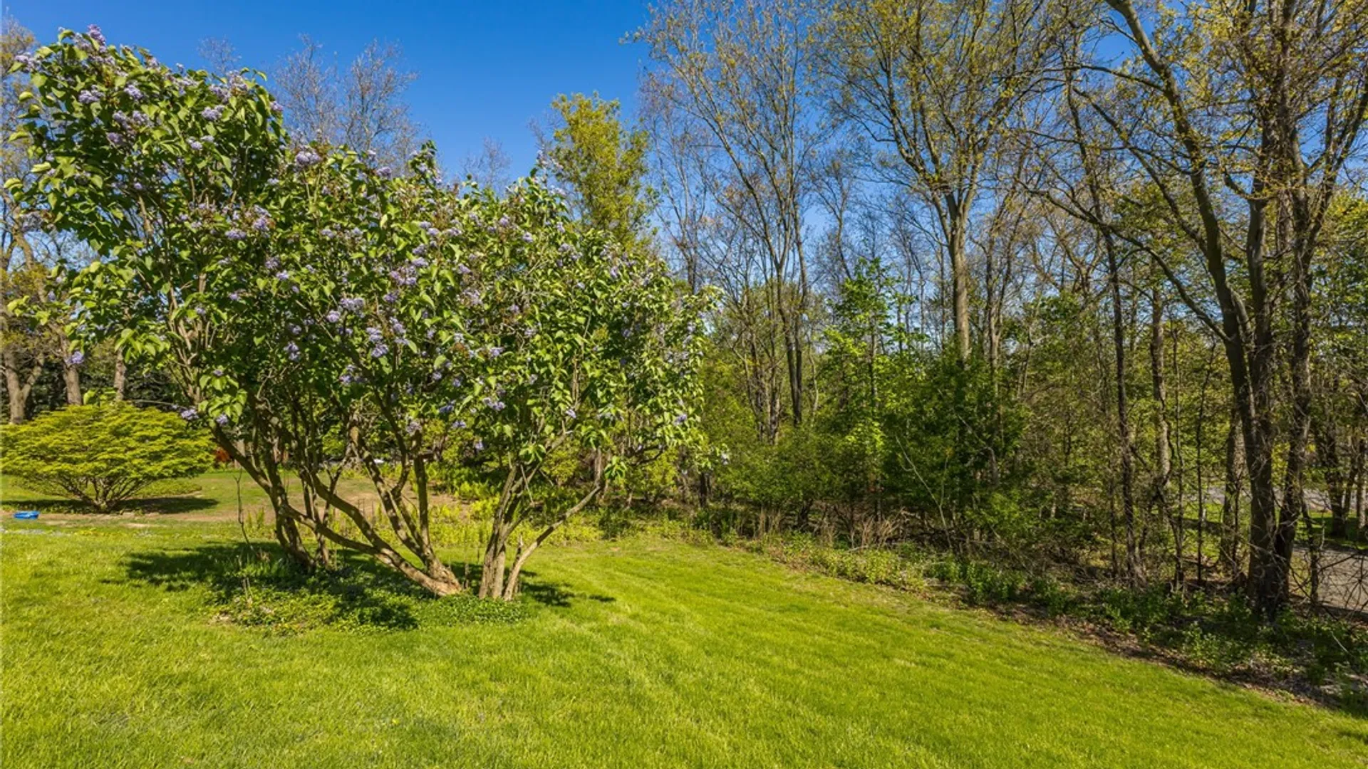Property at 12 Mountain Rise, Perinton, NY 14450 41