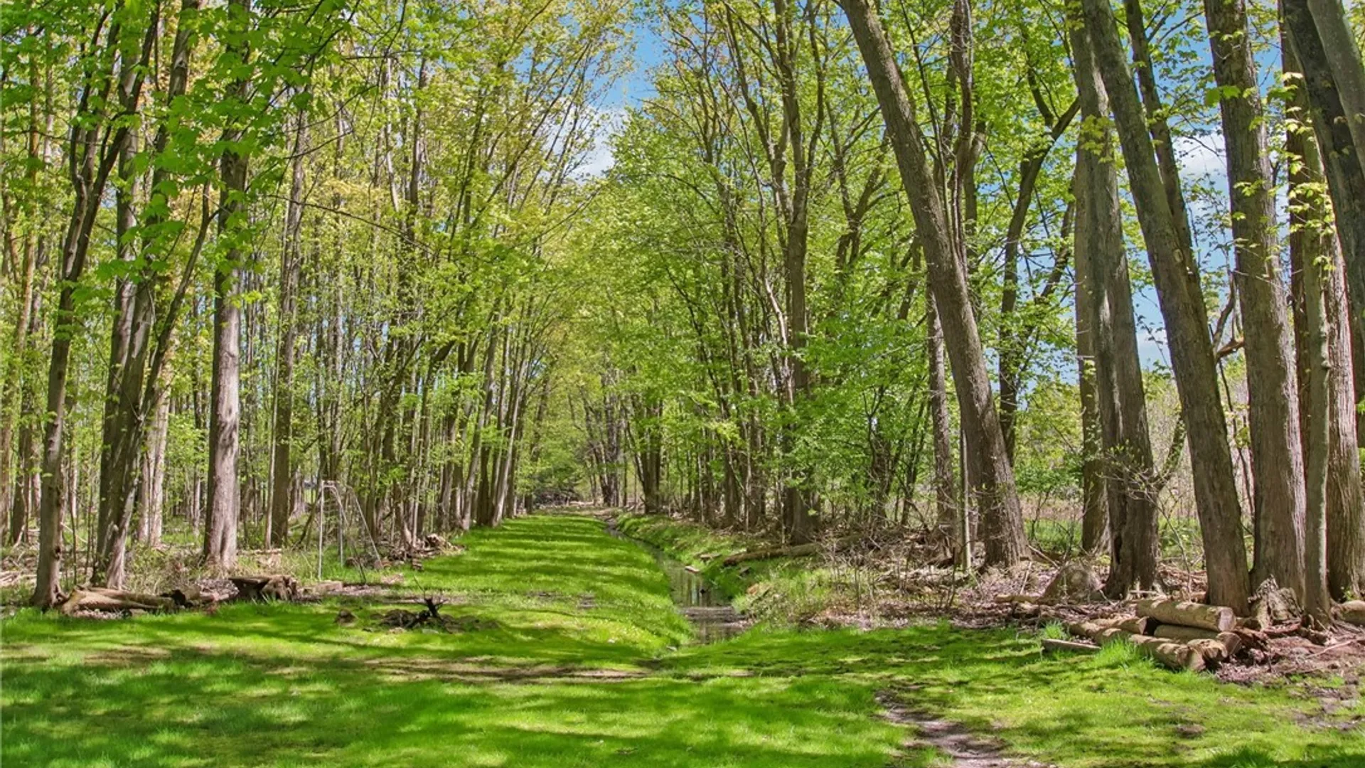 Property at 17 Shady Oaks Trail, Ogden, NY 14559 47
