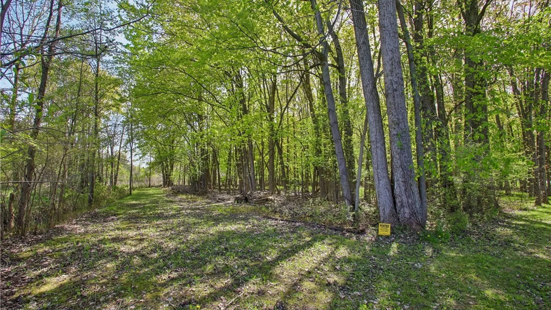 Property at 17 Shady Oaks Trail, Ogden, NY 14559 48