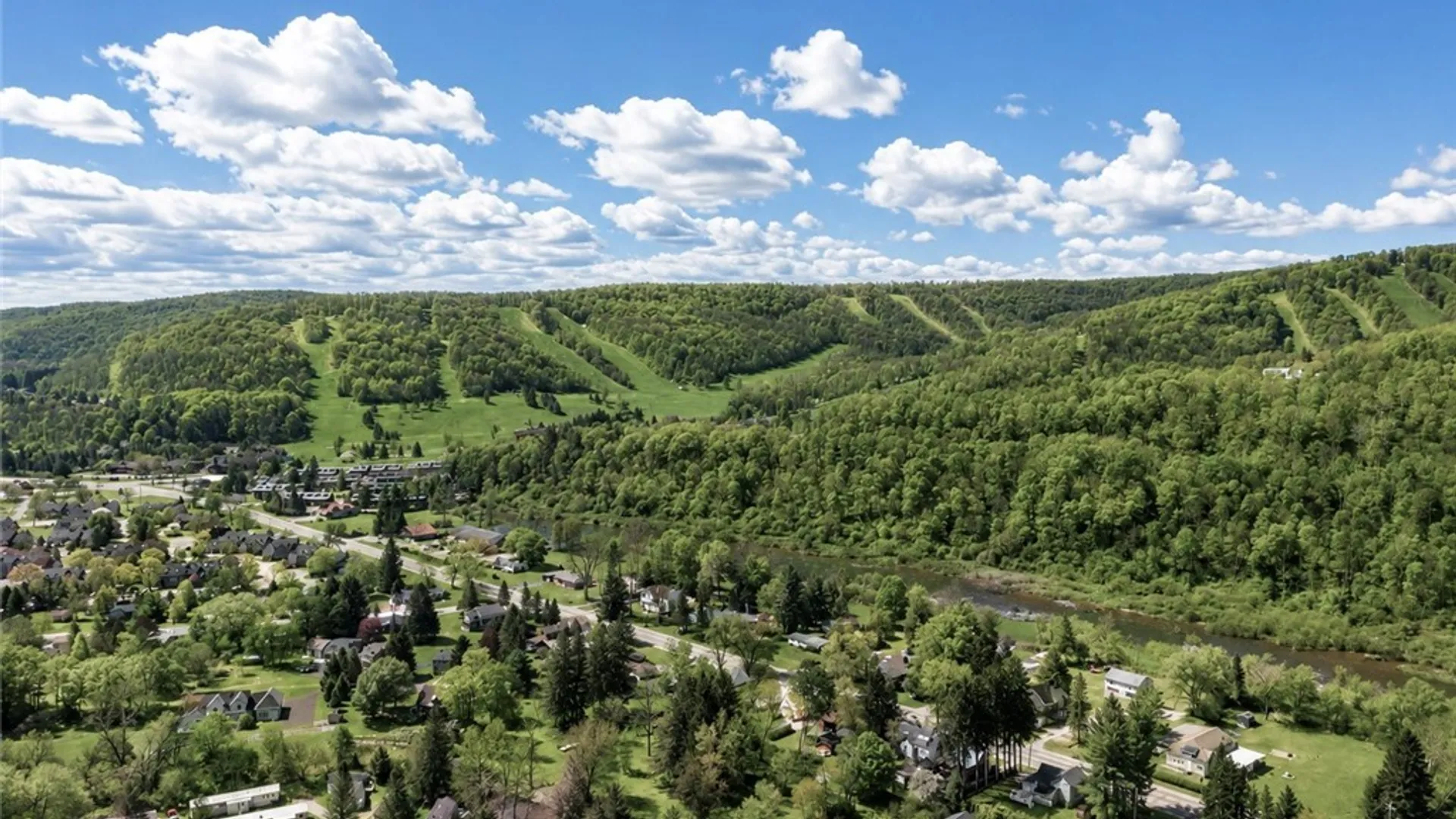 Property at 1 Lincoln Drive, Ellicottville, NY 14731 39