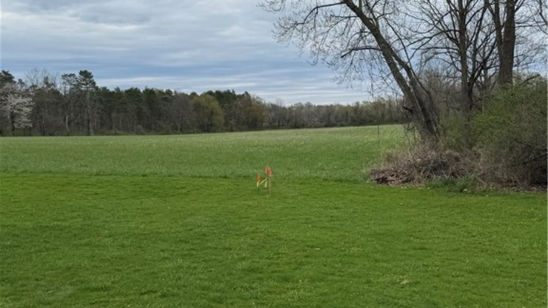 Property at 0 South Street, Ulysses, NY 14886 11
