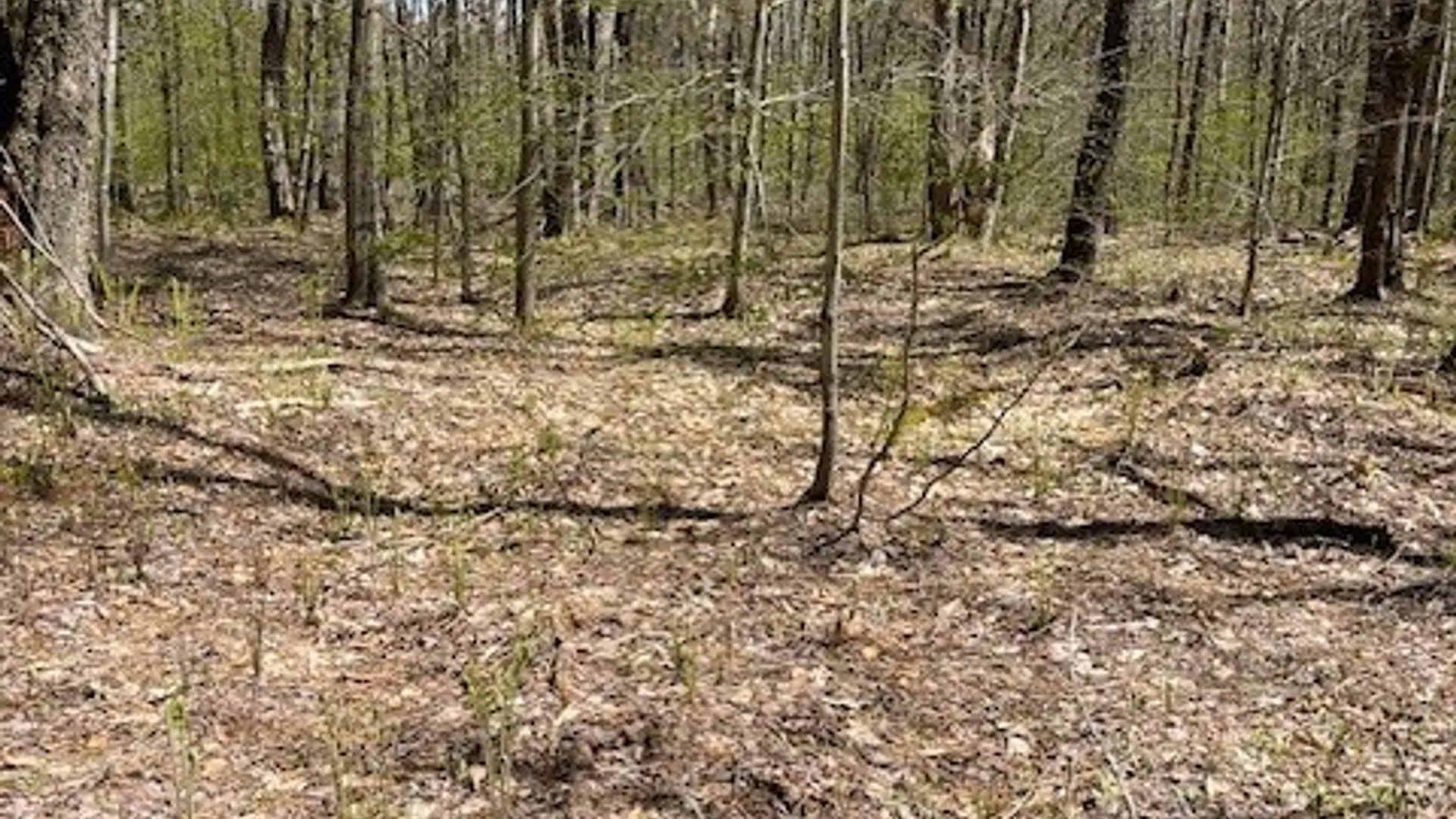 Property at Gay Drive, Orwell, NY 13302 10