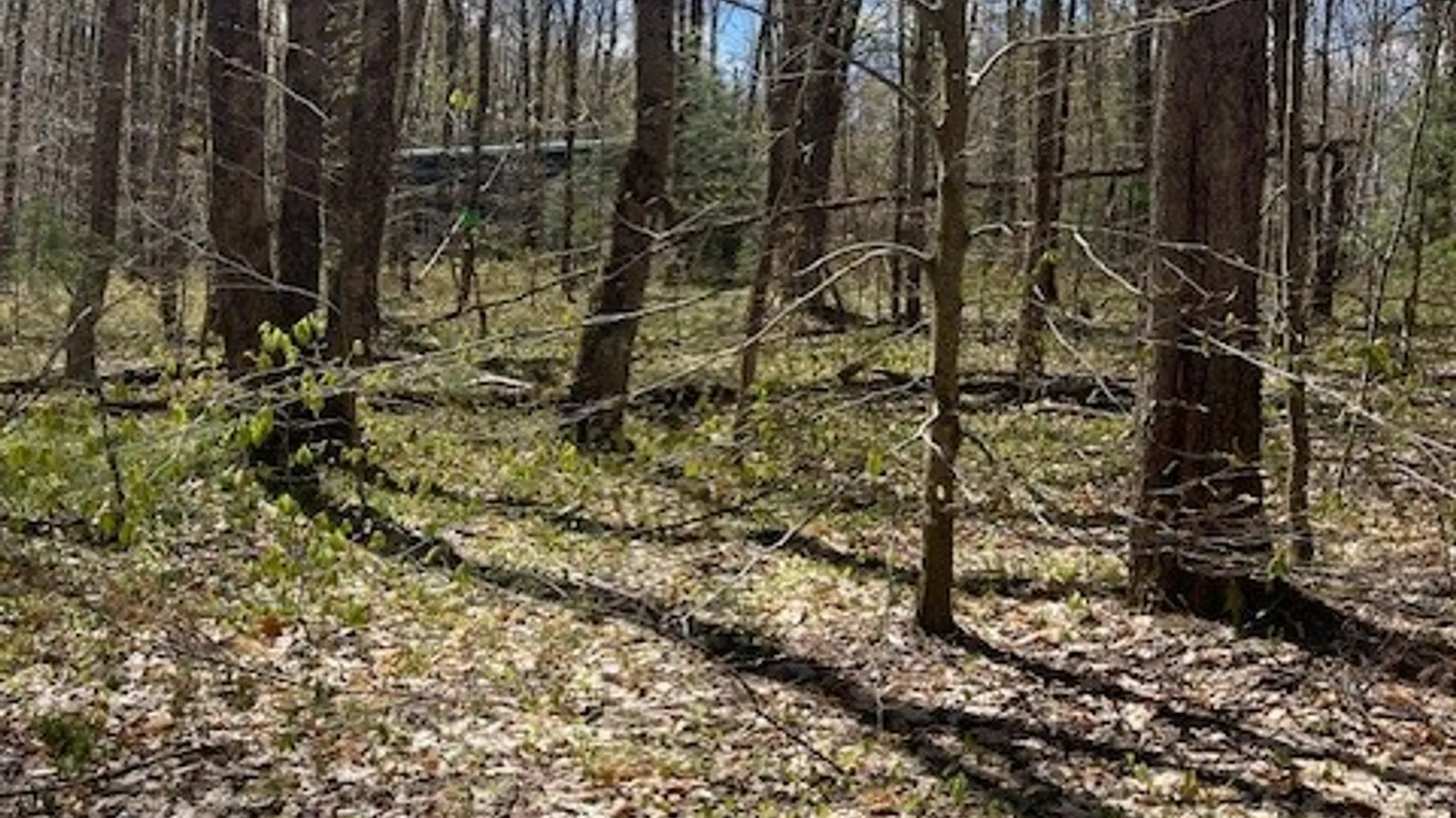 Property at Gay Drive, Orwell, NY 13302 12
