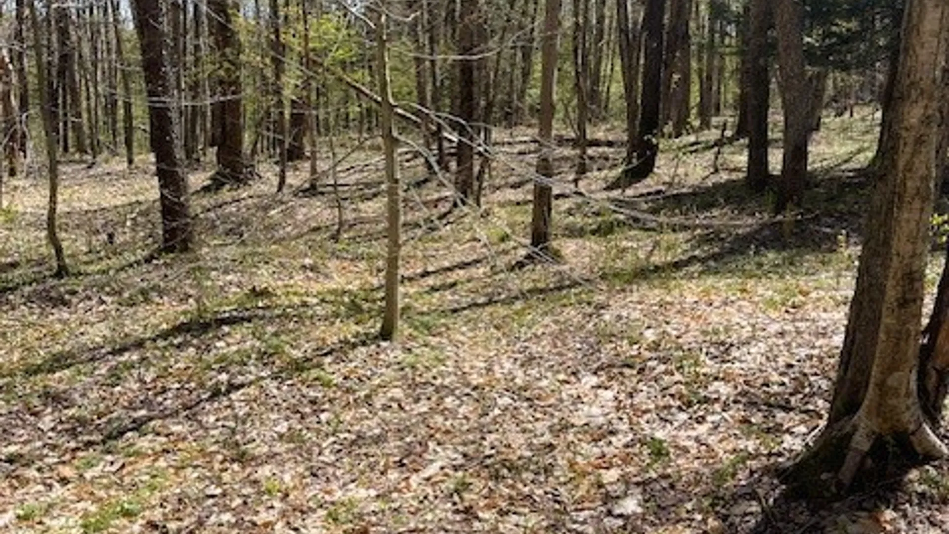 Property at Gay Drive, Orwell, NY 13302 13