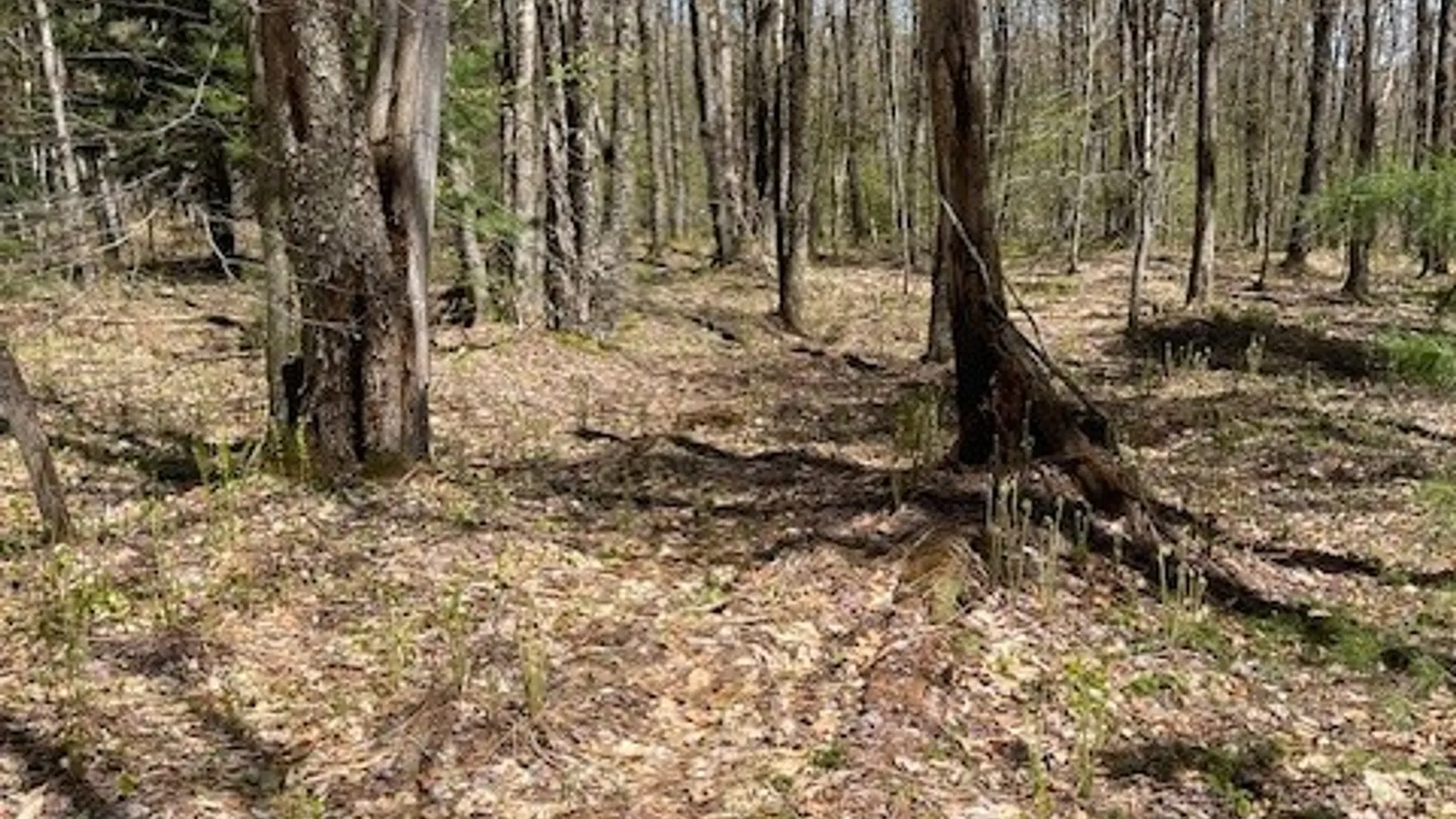 Property at Gay Drive, Orwell, NY 13302 16