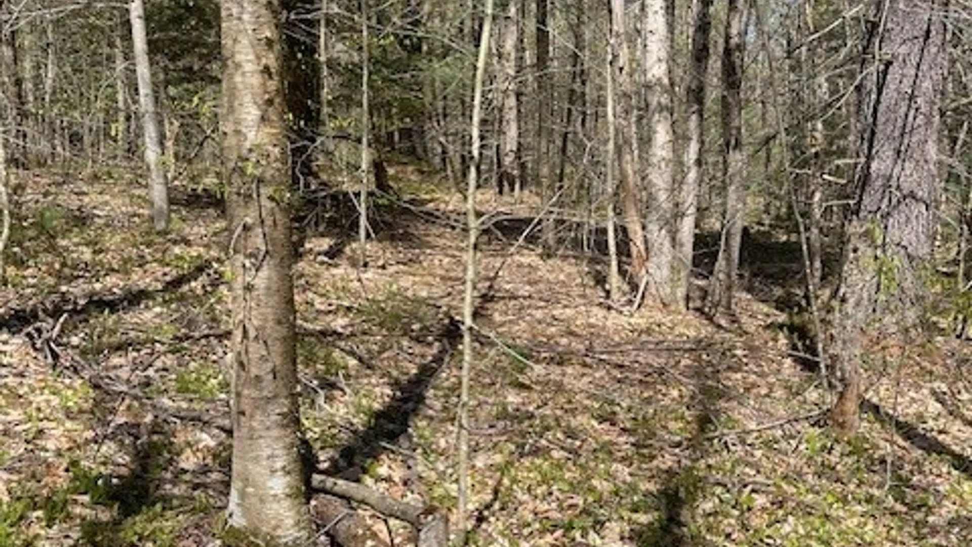 Property at Gay Drive, Orwell, NY 13302 17