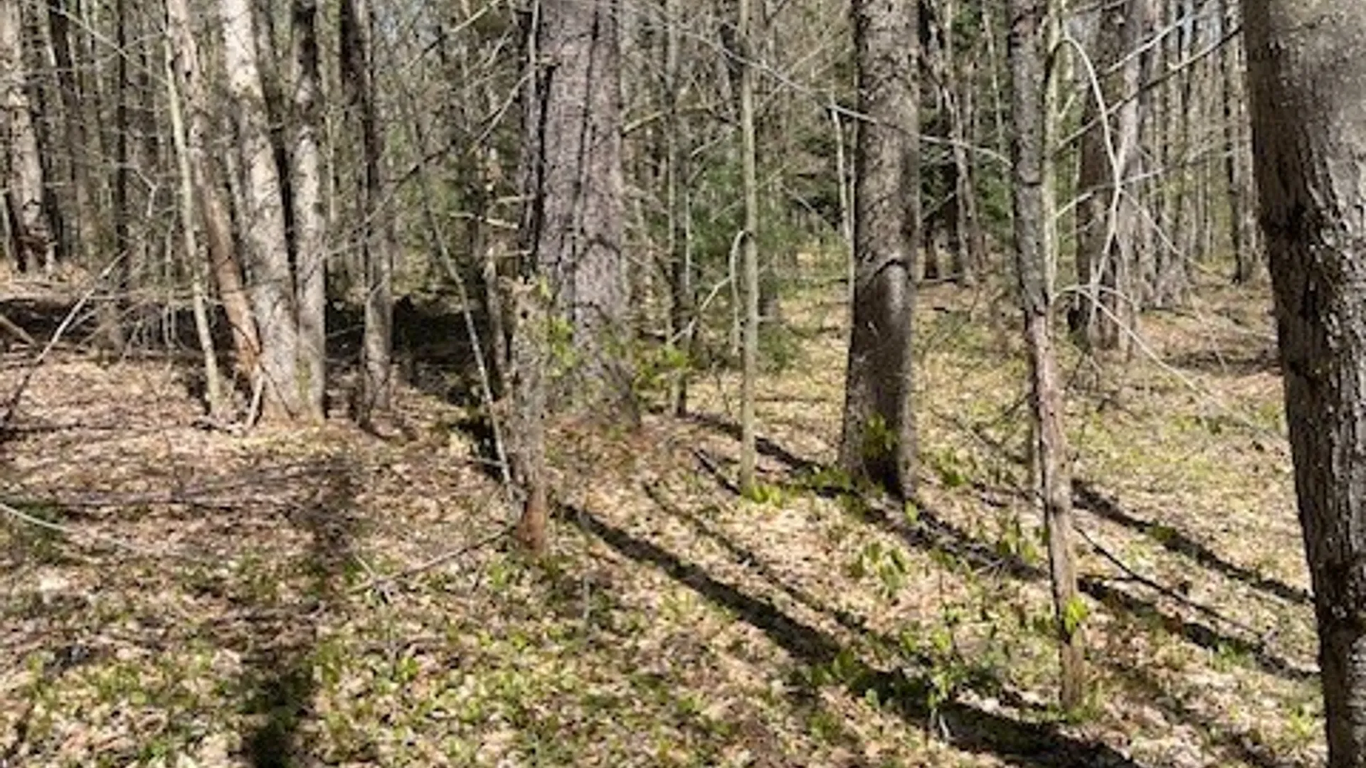 Property at Gay Drive, Orwell, NY 13302 20