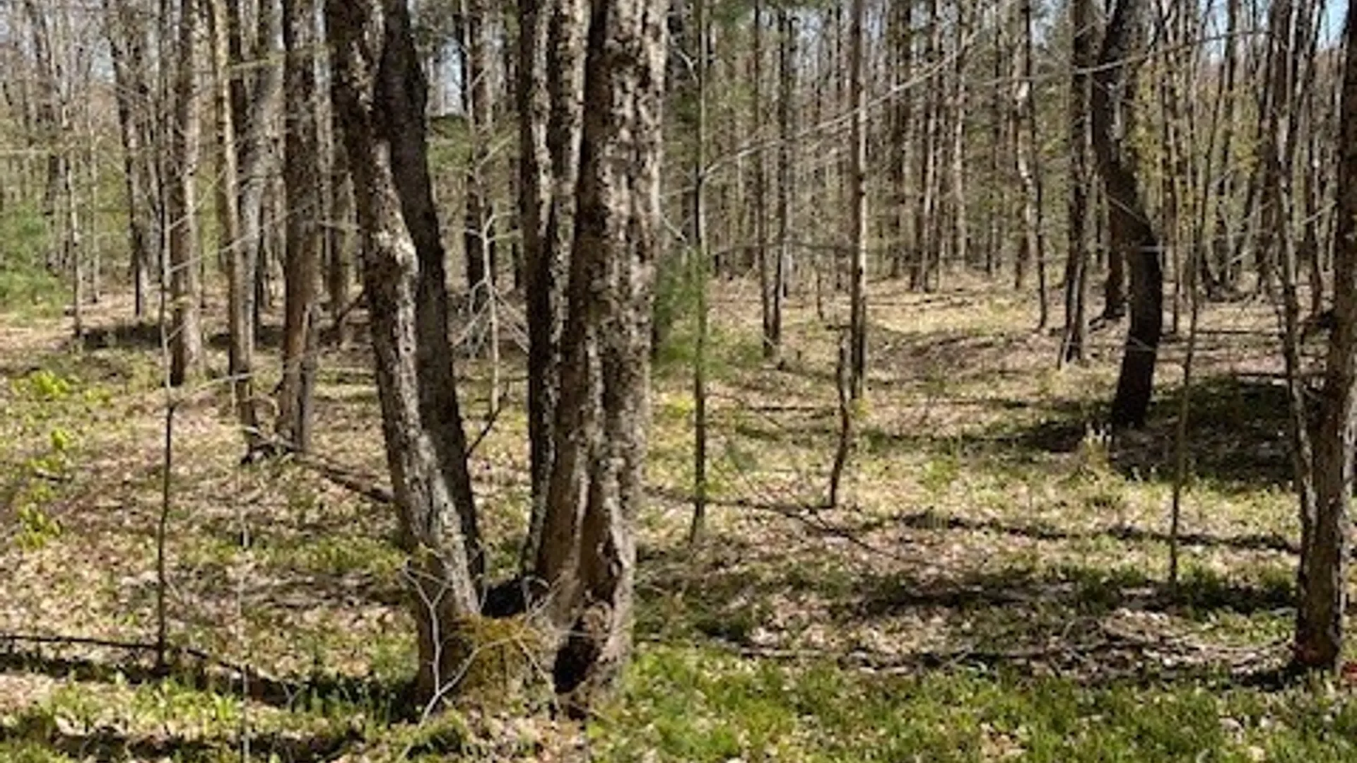 Property at Gay Drive, Orwell, NY 13302 22