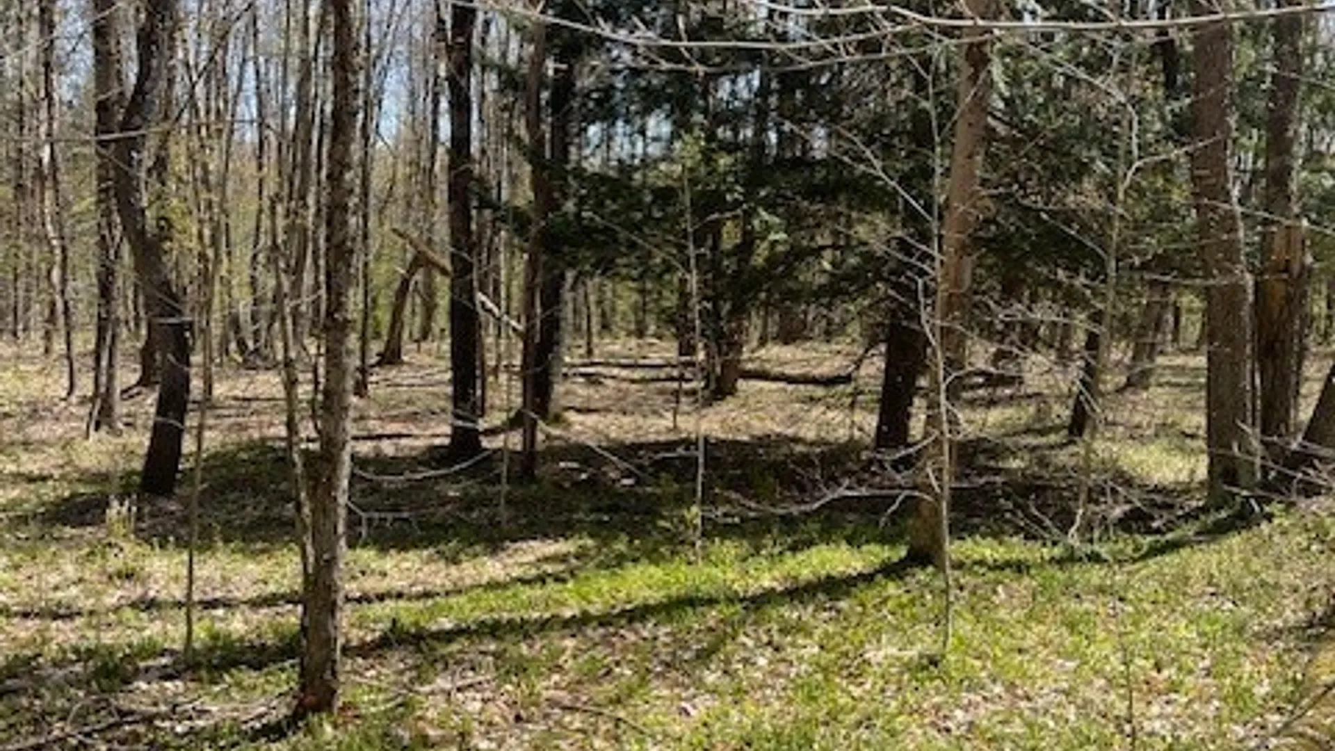 Property at Gay Drive, Orwell, NY 13302 23