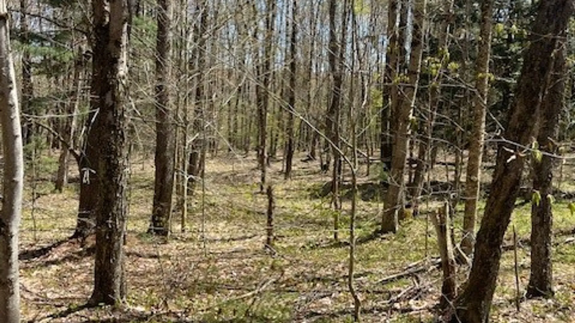 Property at Gay Drive, Orwell, NY 13302 24