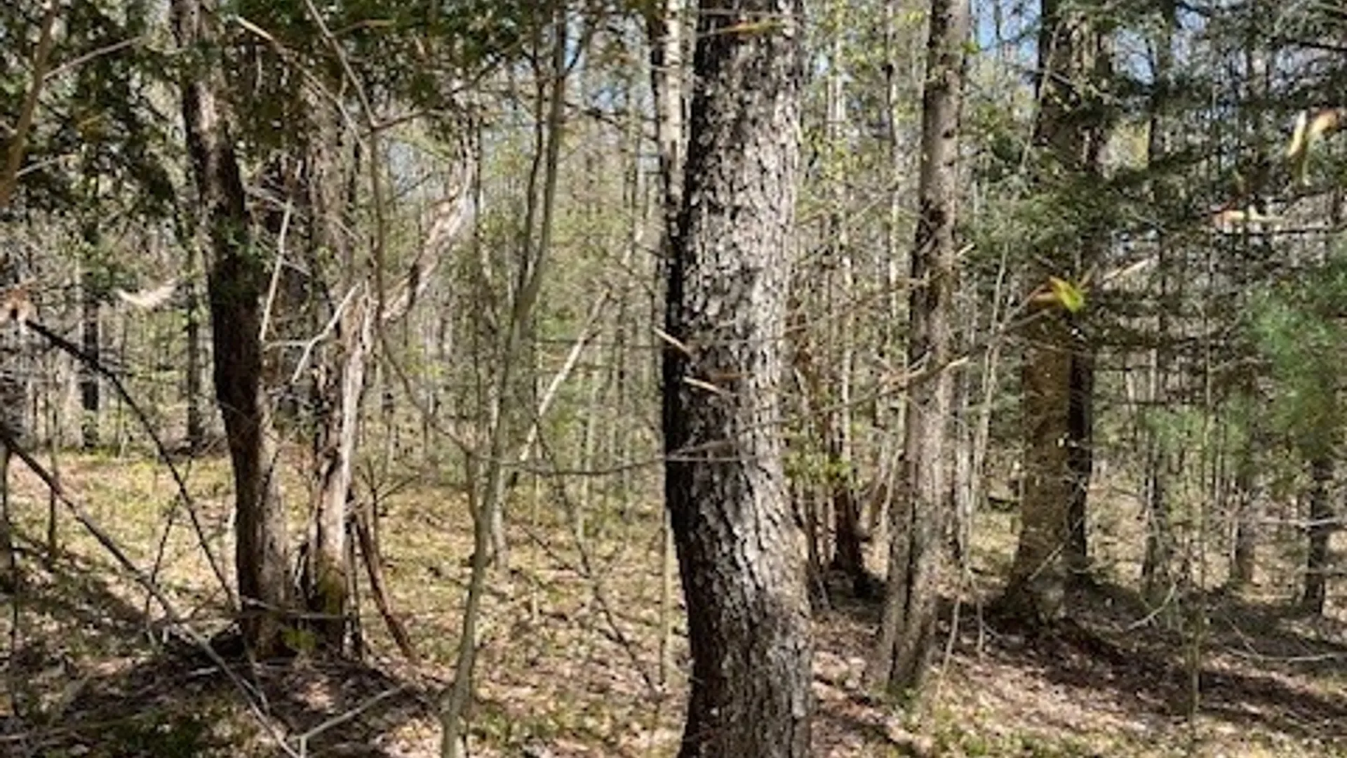 Property at Gay Drive, Orwell, NY 13302 25