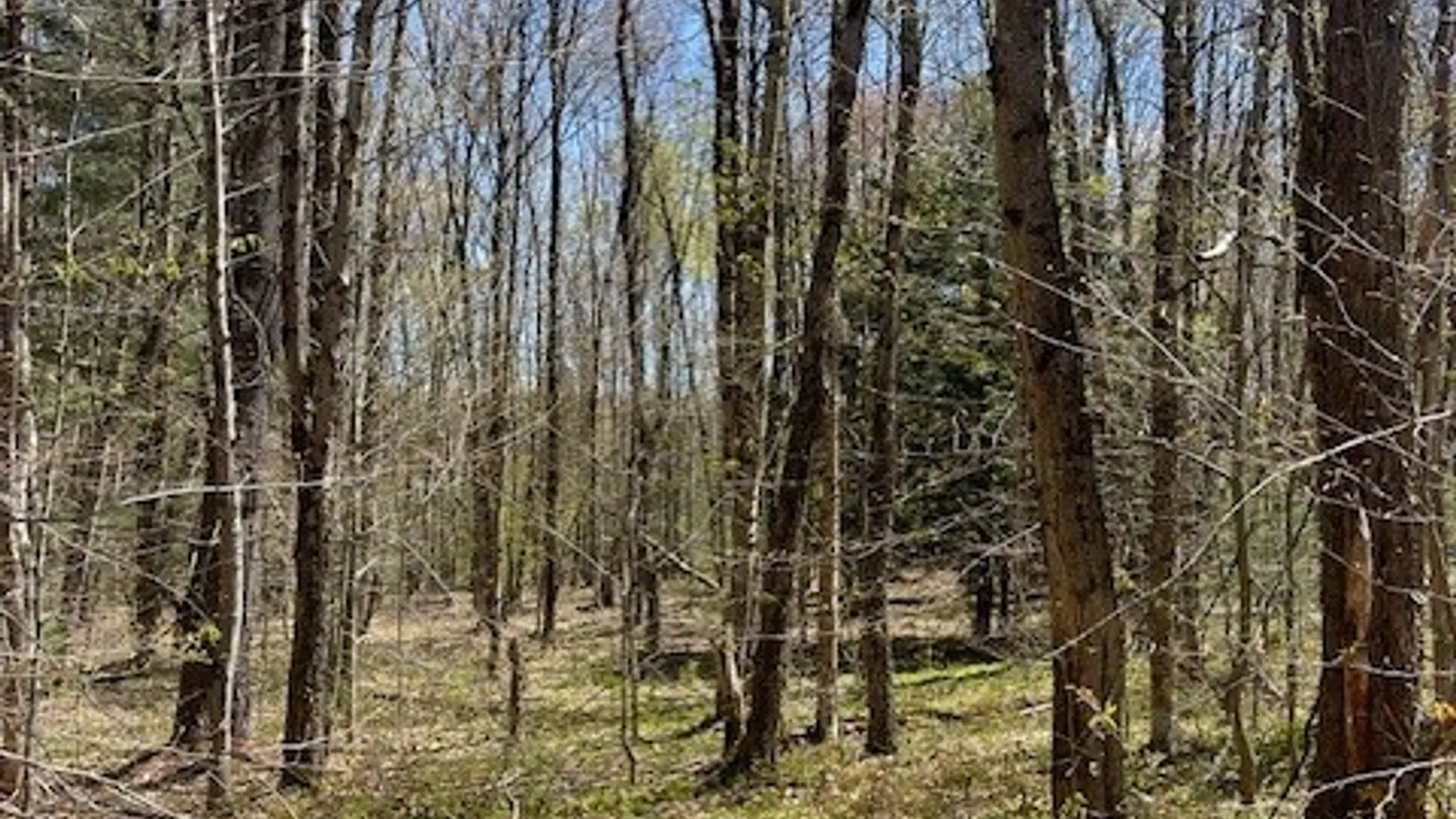 Property at Gay Drive, Orwell, NY 13302 26