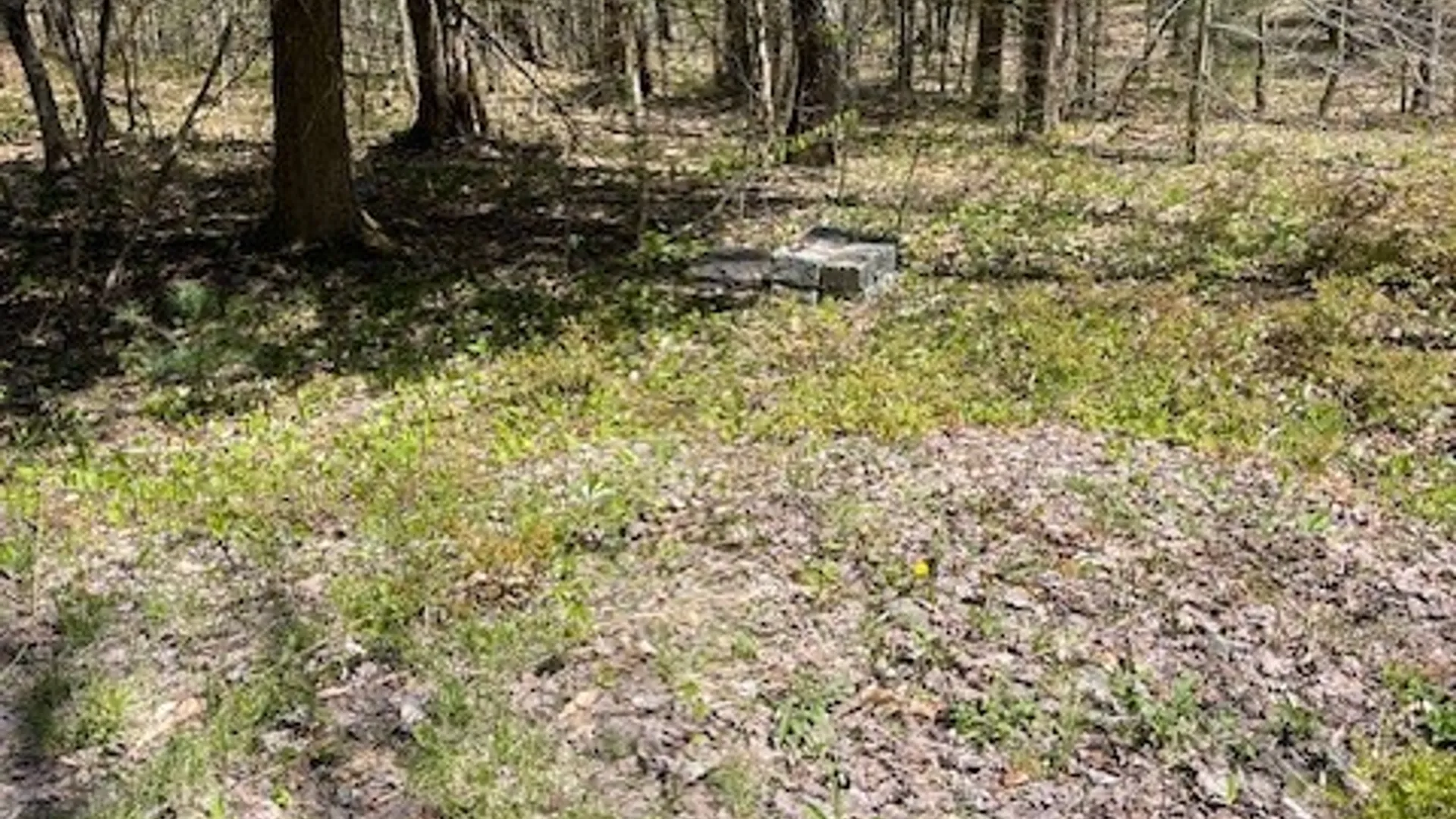 Property at Gay Drive, Orwell, NY 13302 28