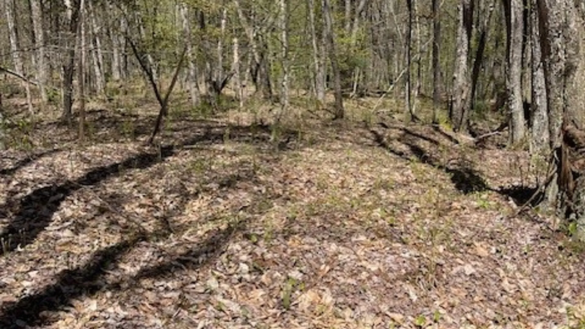 Property at Gay Drive, Orwell, NY 13302 5