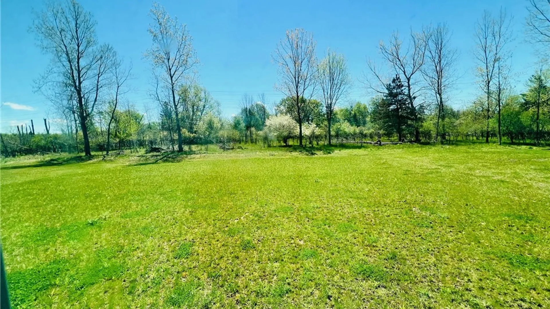 Property at 103 Grant Boulevard, West Seneca, NY 14218 2