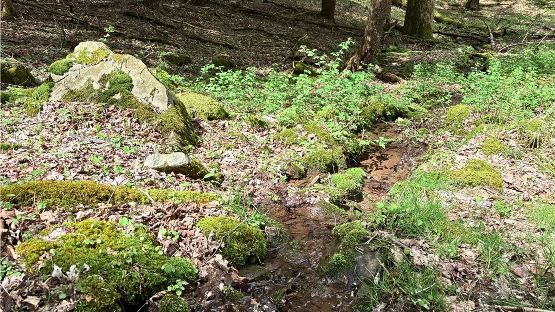 Property at Lot 16 Putnam Road, Kortright, NY 13750 10