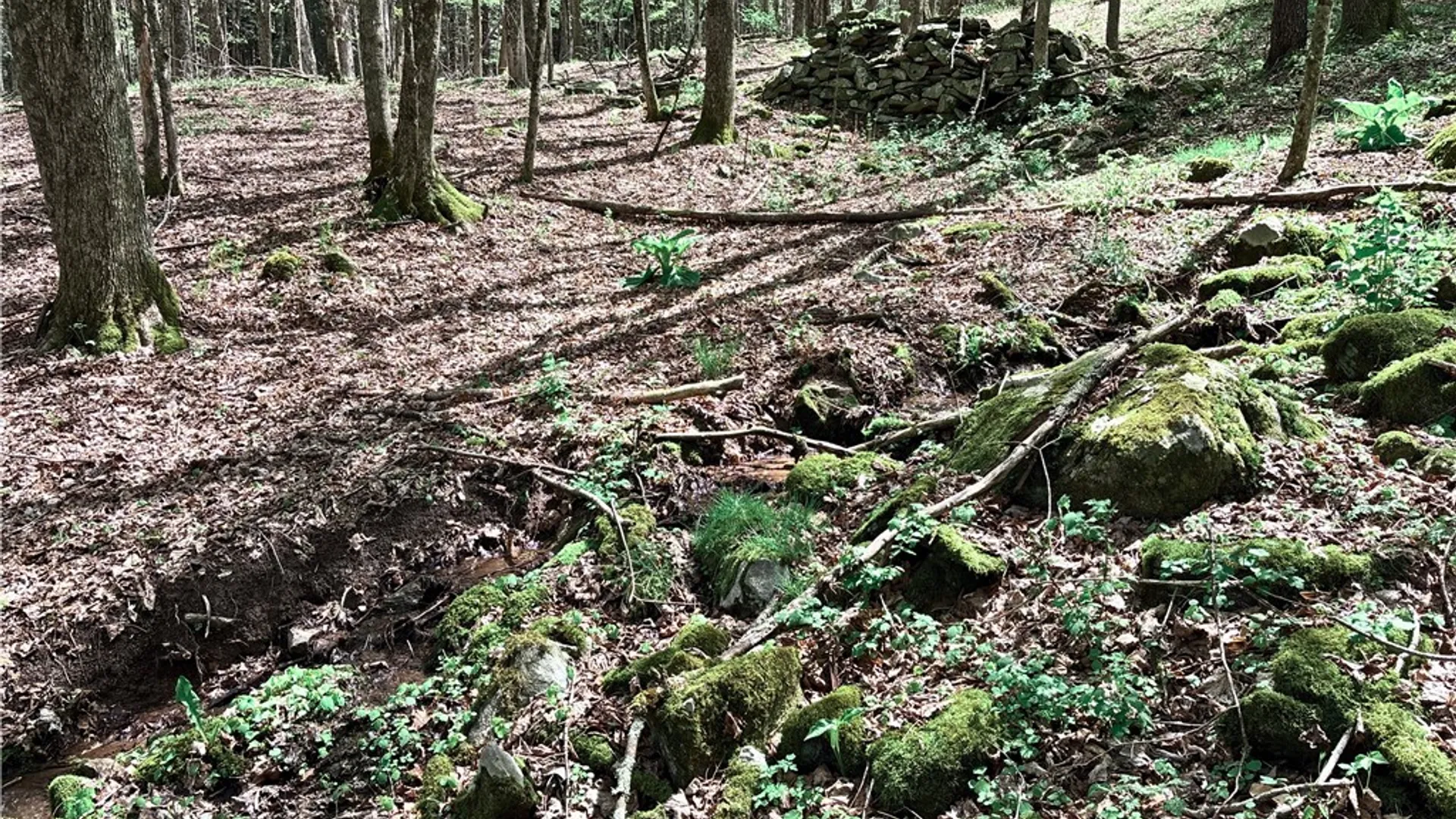 Property at Lot 16 Putnam Road, Kortright, NY 13750 12