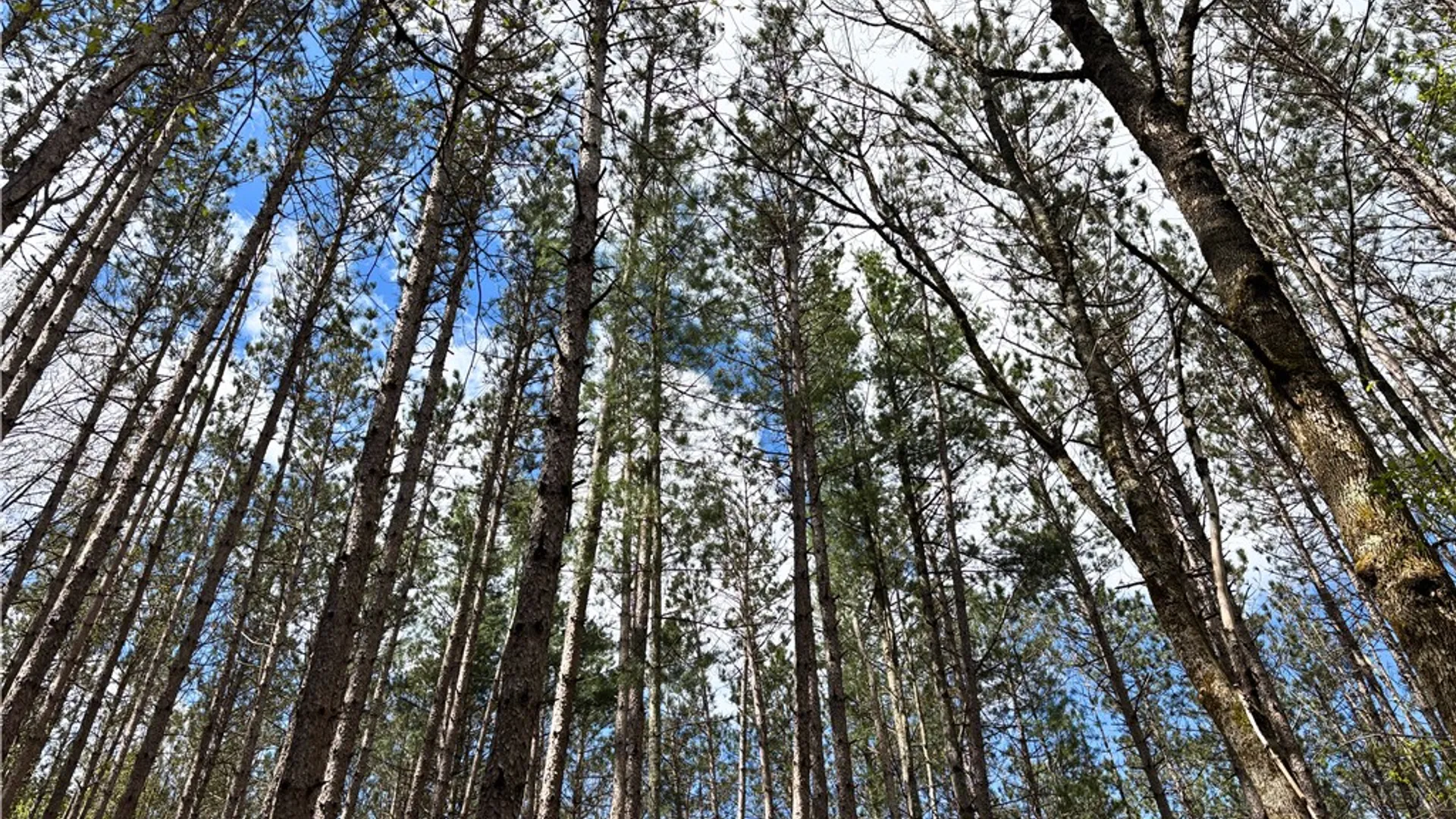 Property at Lot 16 Putnam Road, Kortright, NY 13750 16