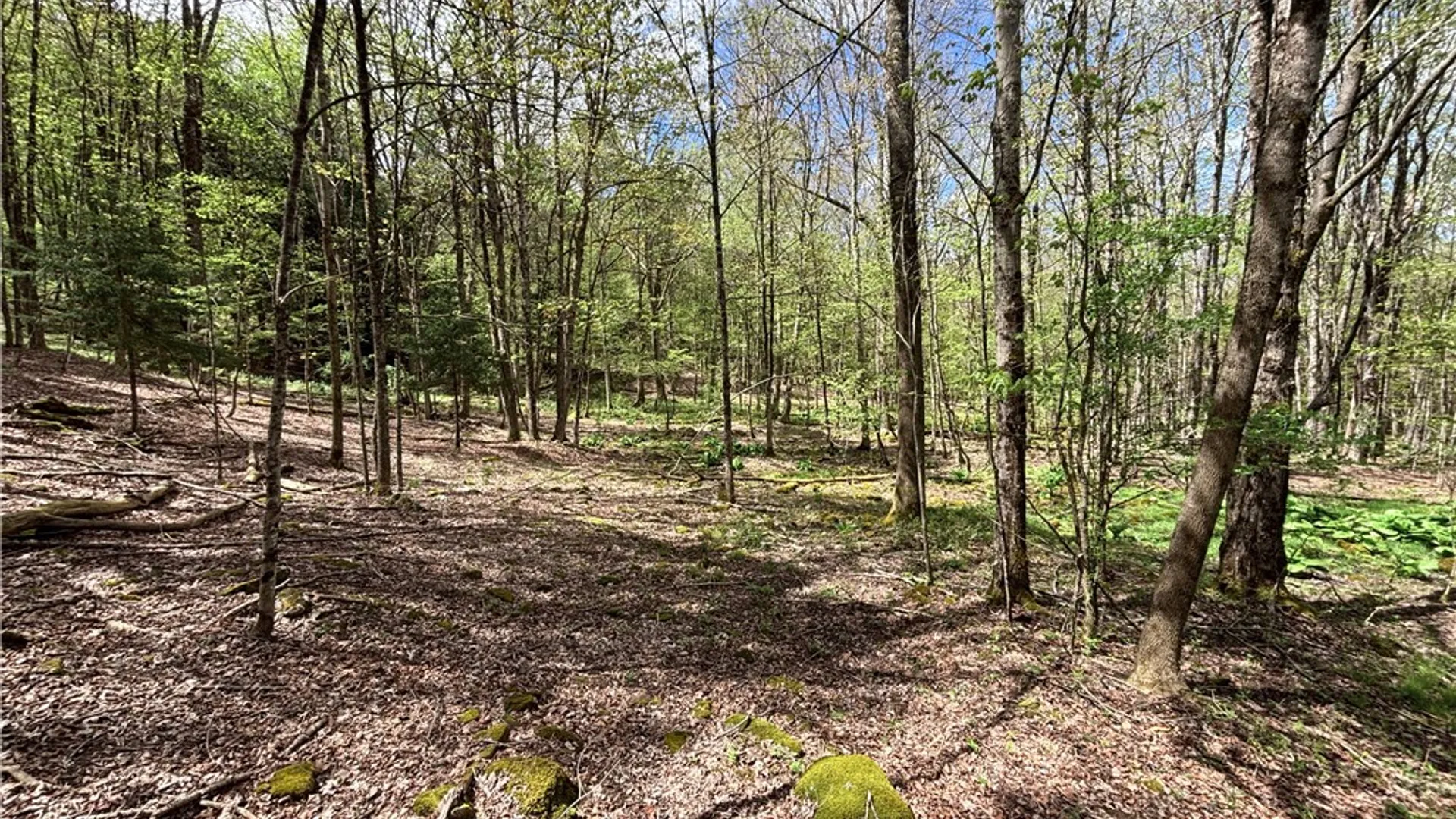Property at Lot 16 Putnam Road, Kortright, NY 13750 17