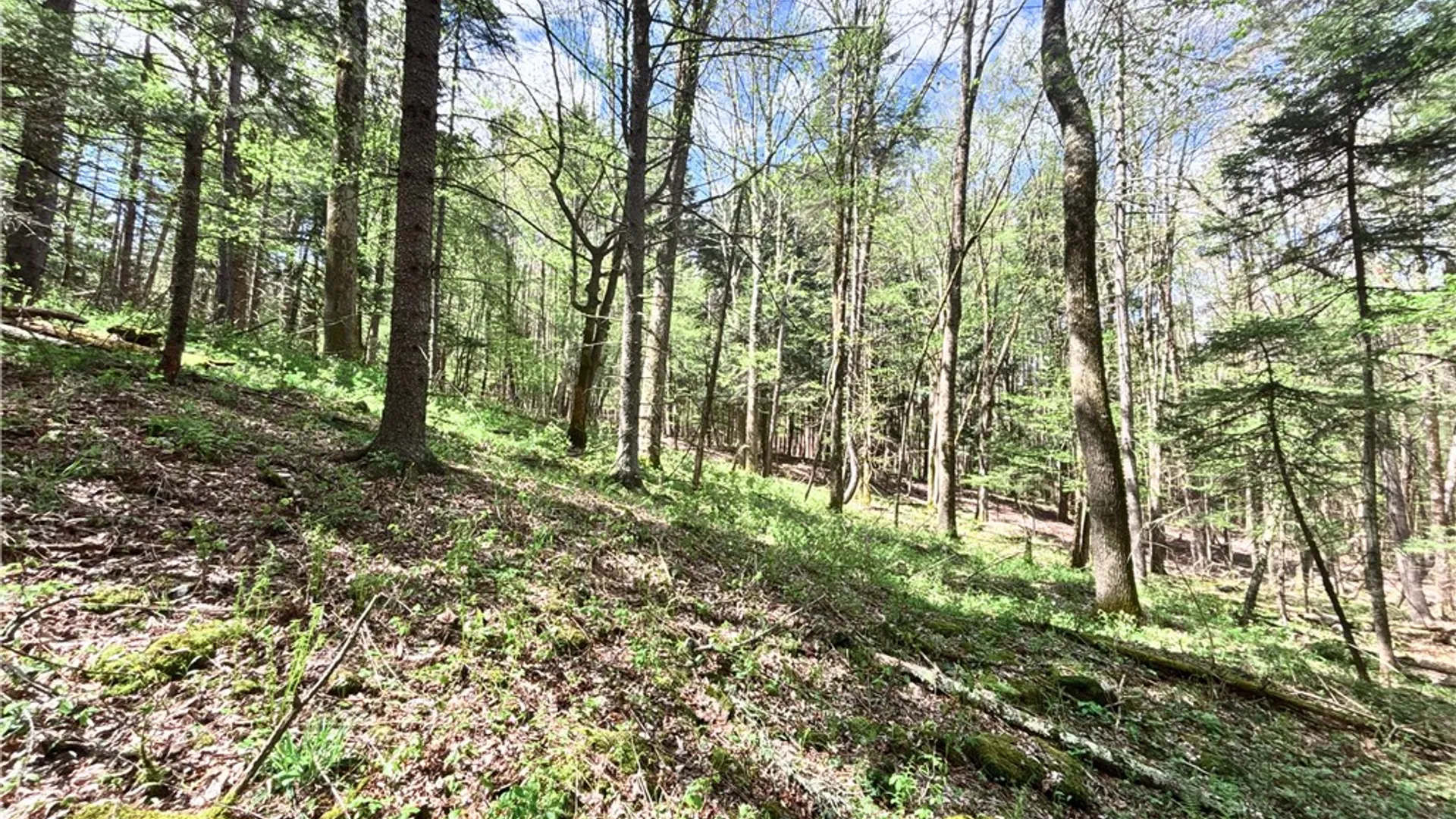 Property at Lot 16 Putnam Road, Kortright, NY 13750 18