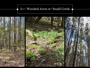 Lot 16 Putnam Road, Kortright, NY 13750