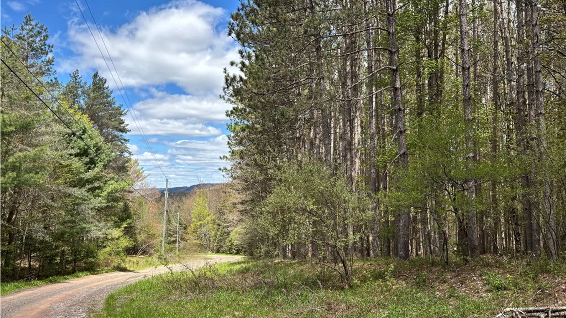 Property at Lot 16 Putnam Road, Kortright, NY 13750 2