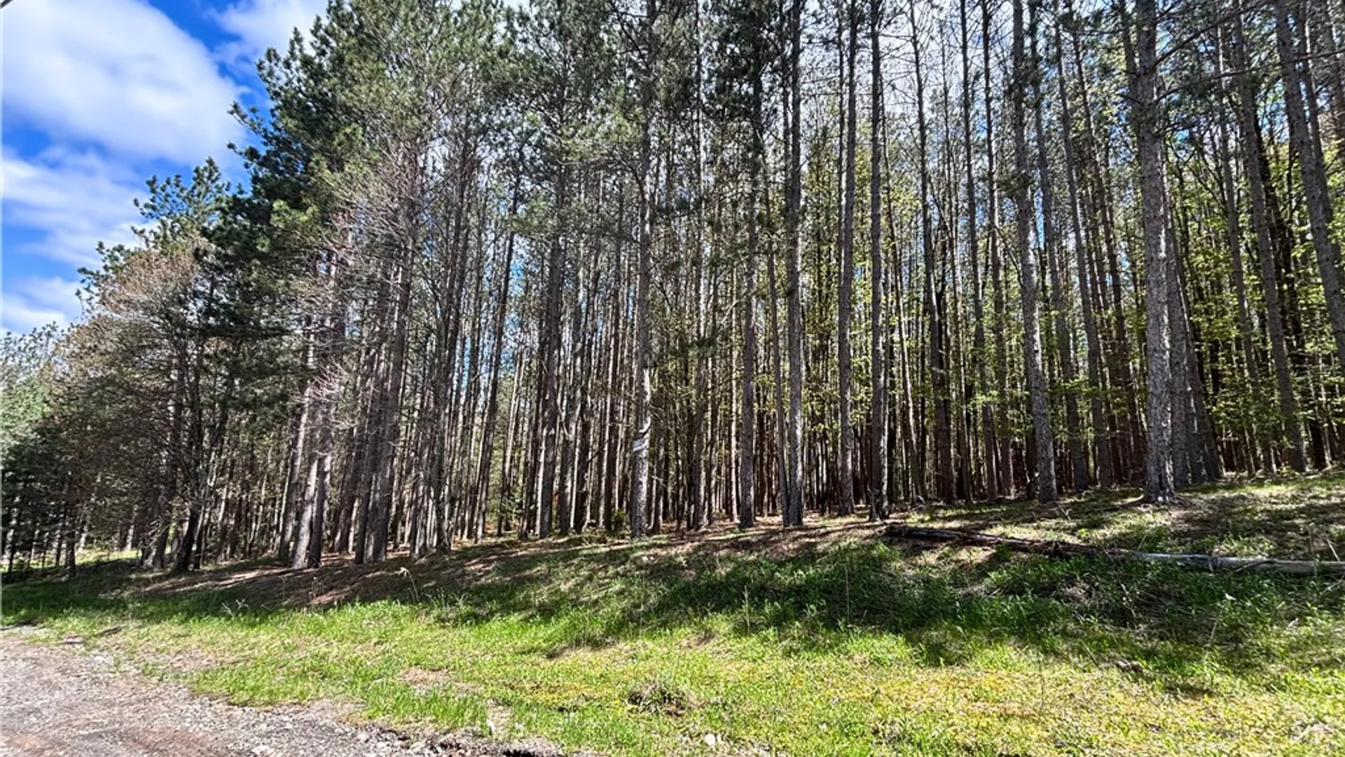Property at Lot 16 Putnam Road, Kortright, NY 13750 3