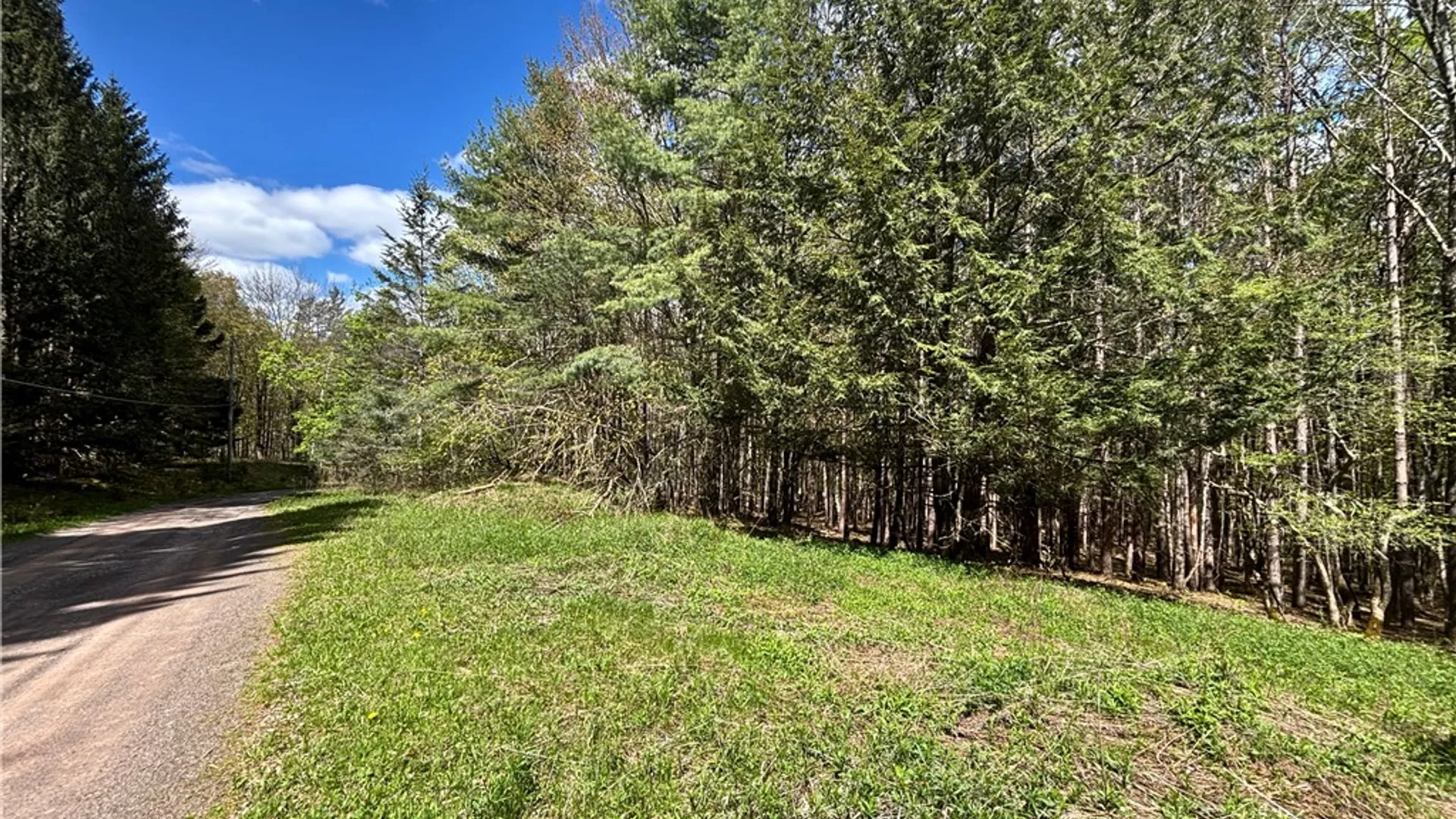 Property at Lot 16 Putnam Road, Kortright, NY 13750 4