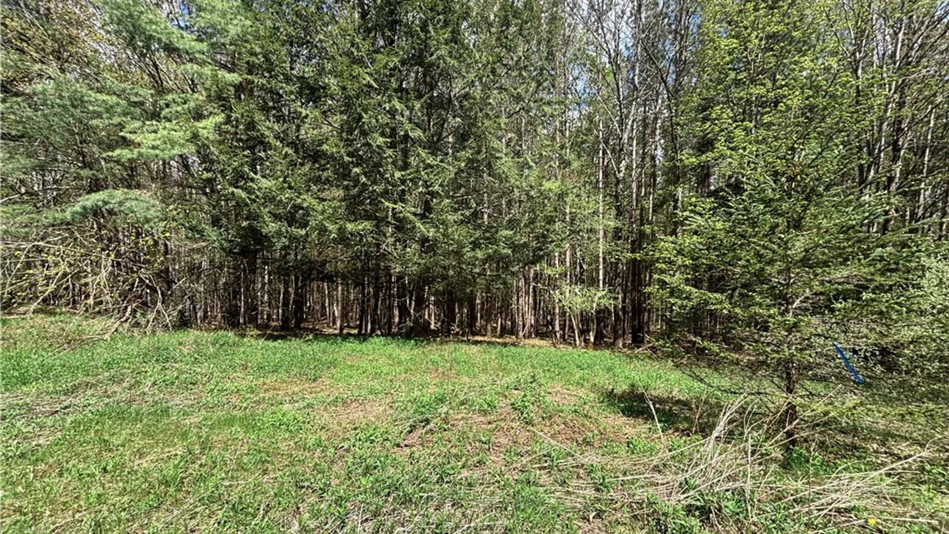Property at Lot 16 Putnam Road, Kortright, NY 13750 5