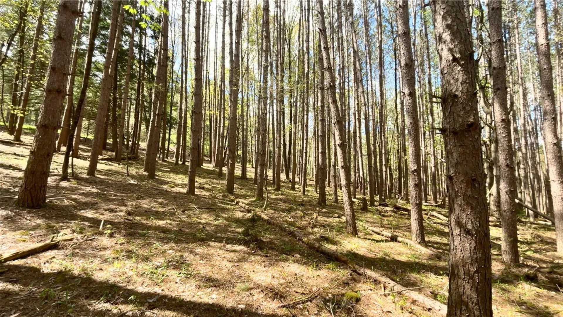 Property at Lot 16 Putnam Road, Kortright, NY 13750 7