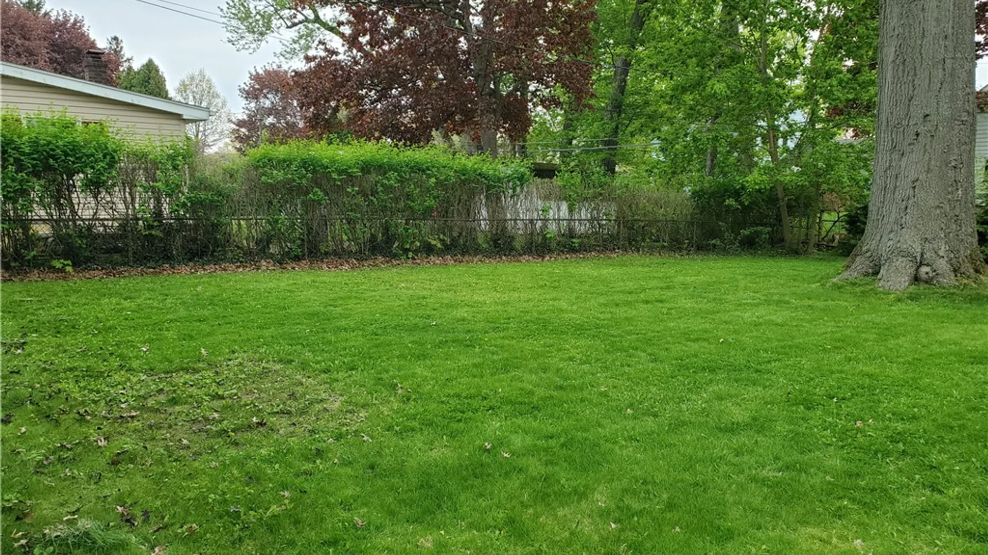 Property at 125 Sydenham Road, Irondequoit, NY 14609 7
