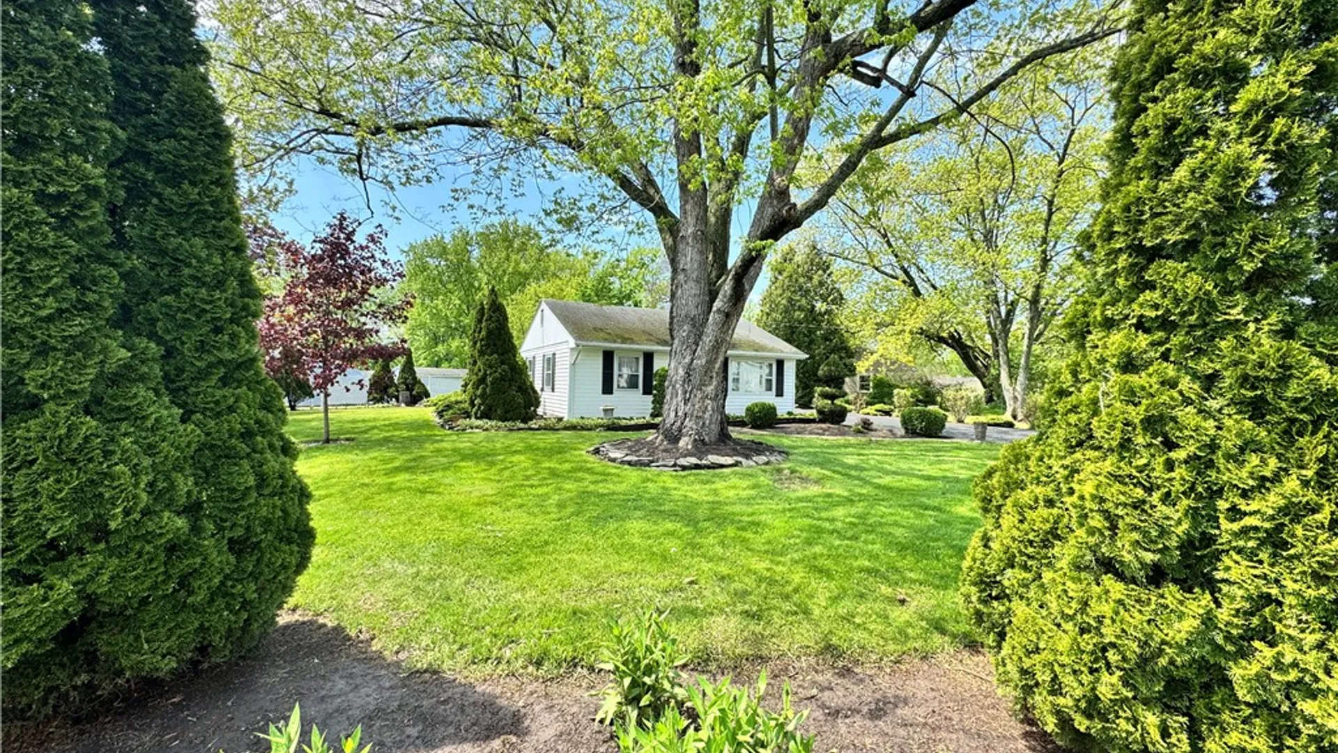 Property at 15 Barham Avenue, Waterloo, NY 13165 16