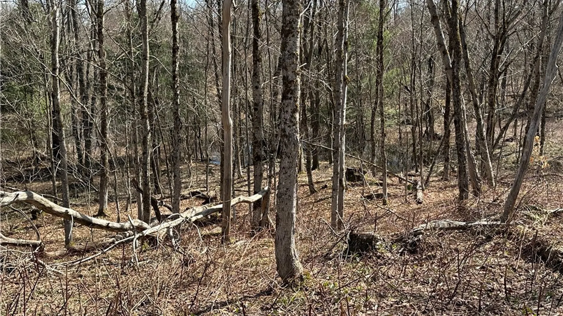Property at 1950 Pitcher Road, Montague, NY 13367 18