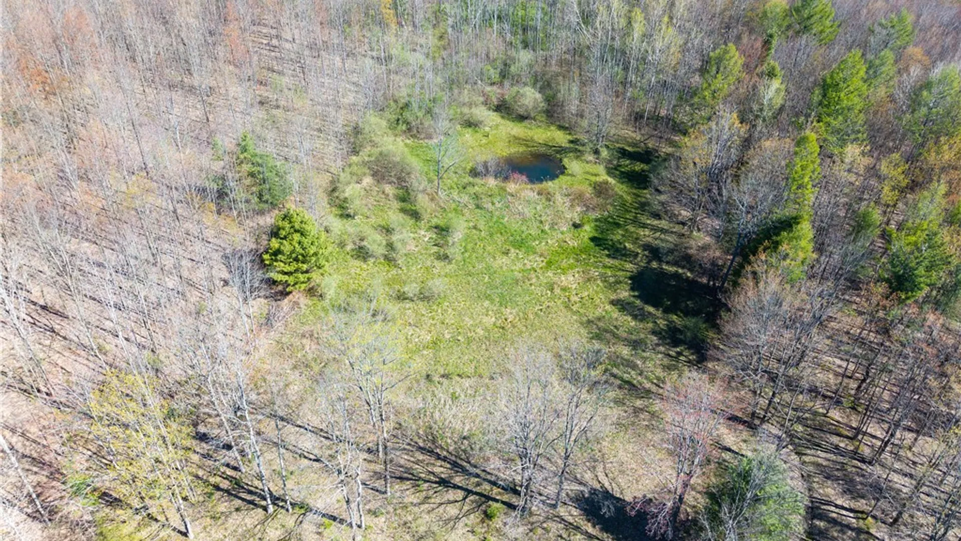 Property at 2231 Wearkley Road, Wayland, NY 14572 42