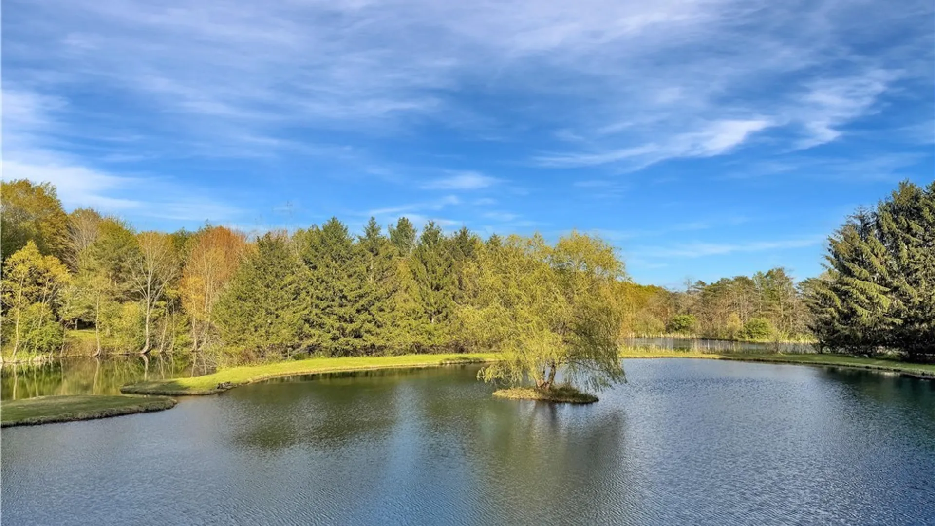 Property at 4691 Wilder Road, Warsaw, NY 14569 9