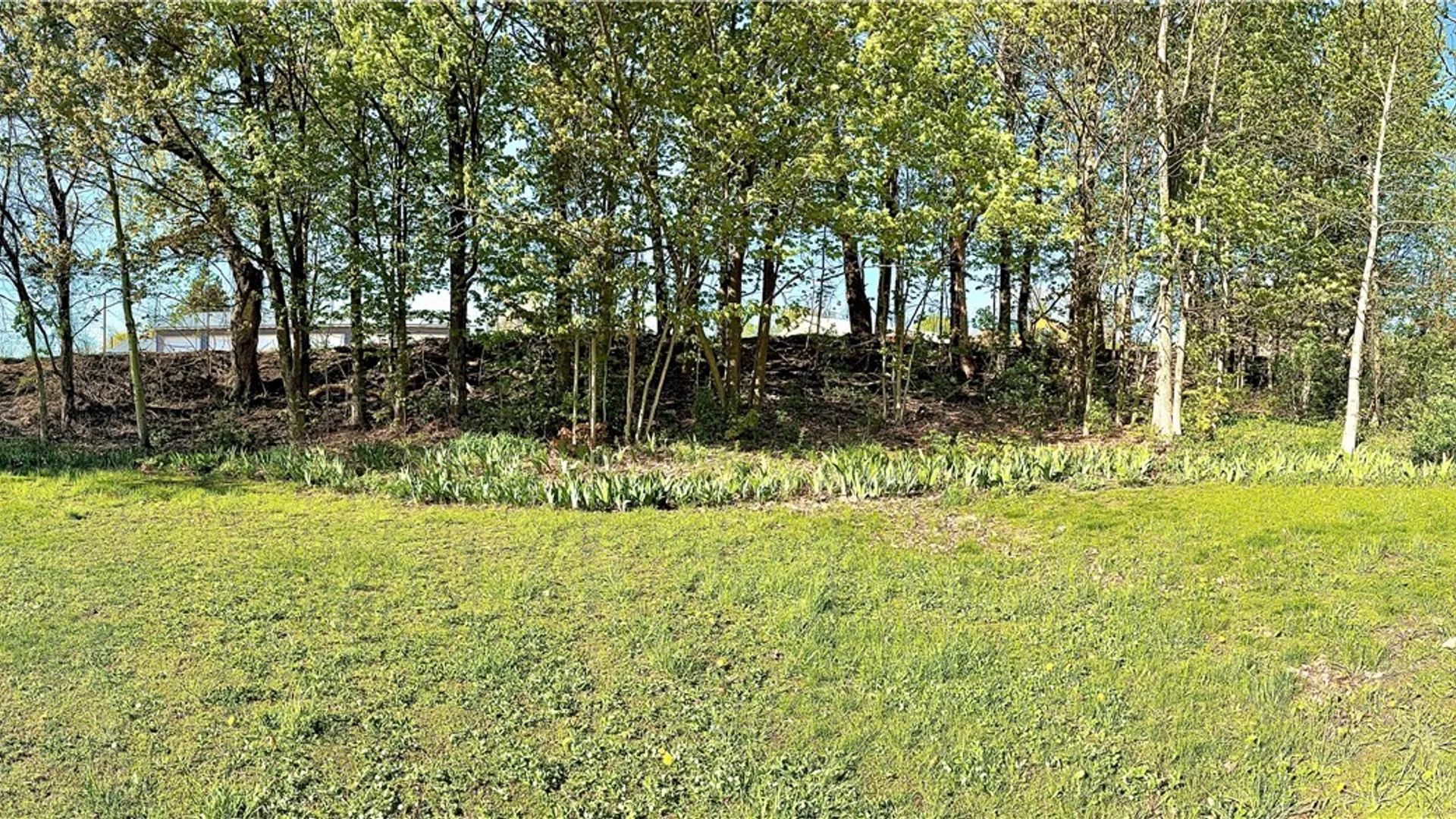 Property at 20 Maple Avenue, Sandy Creek, NY 13083 40
