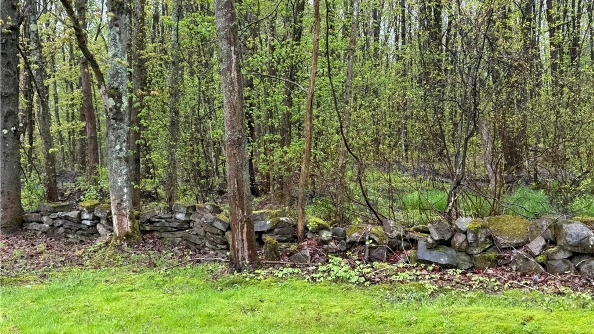 Property at 239 County Route 41a, Richland, NY 13142 37
