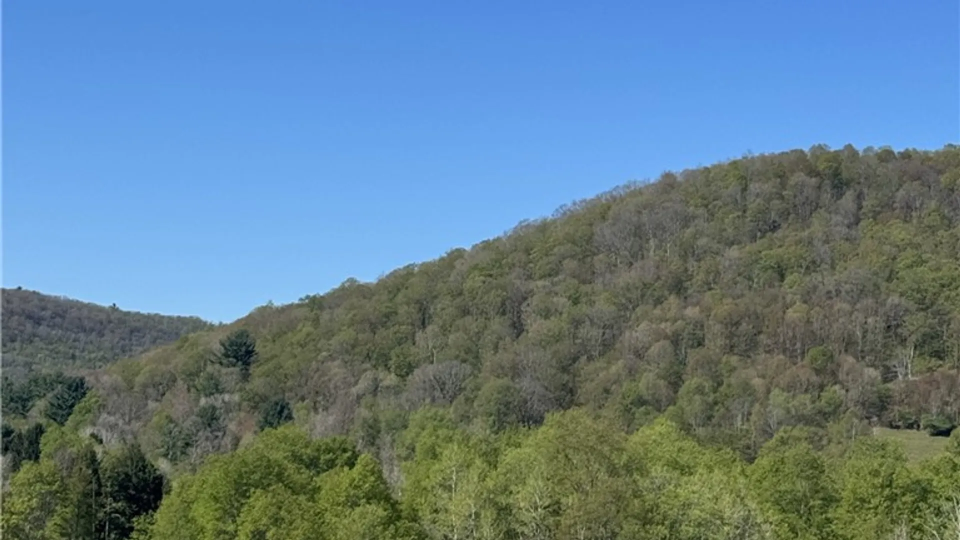 Property at 44 North, Hebron, PA 16915 11