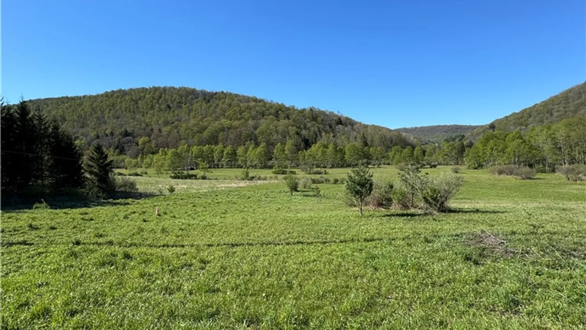 Property at 44 North, Hebron, PA 16915 12