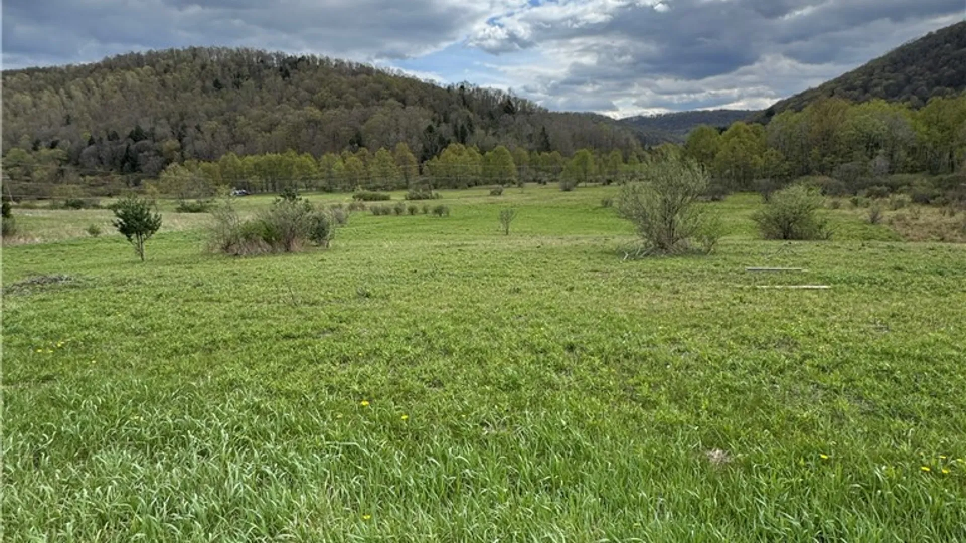 Property at 44 North, Hebron, PA 16915 18