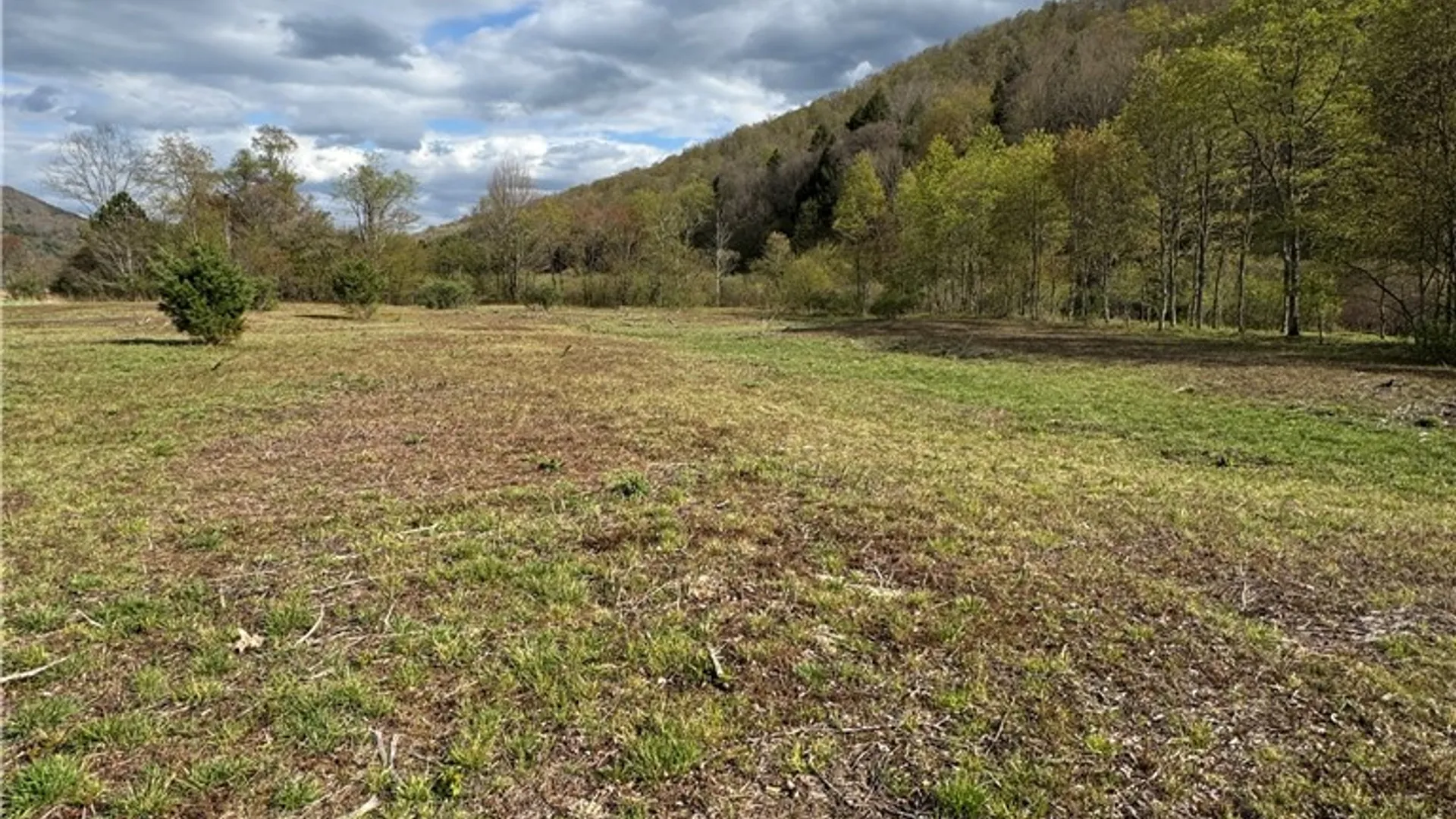 Property at 44 North, Hebron, PA 16915 21