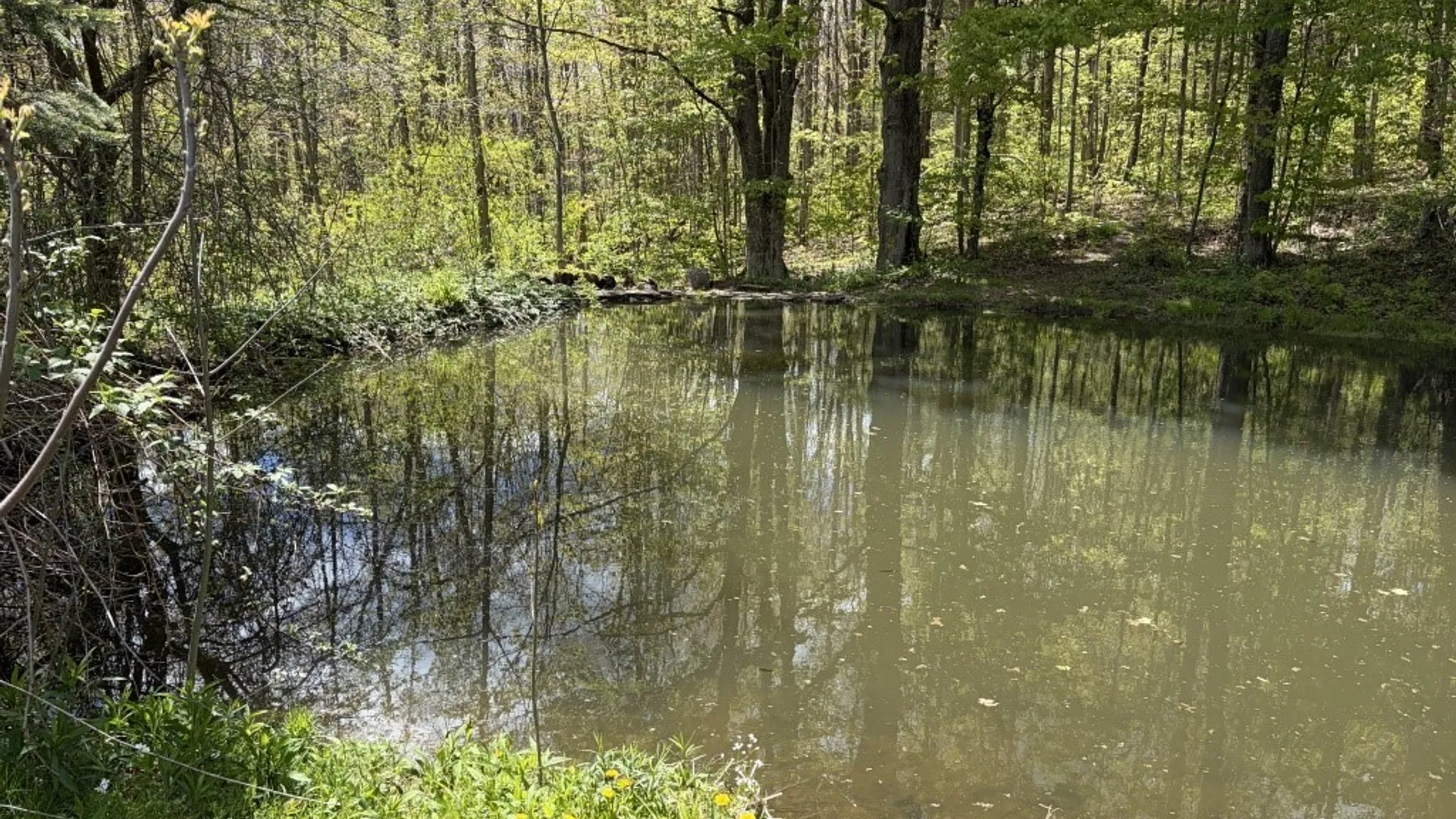 Property at 4688 Kortwright Road, Busti, NY 14701 9