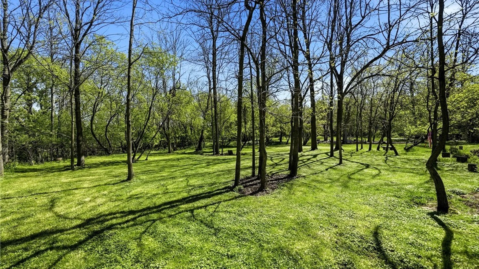 Property at 1860 Forest Road, Amherst, NY 14221 50