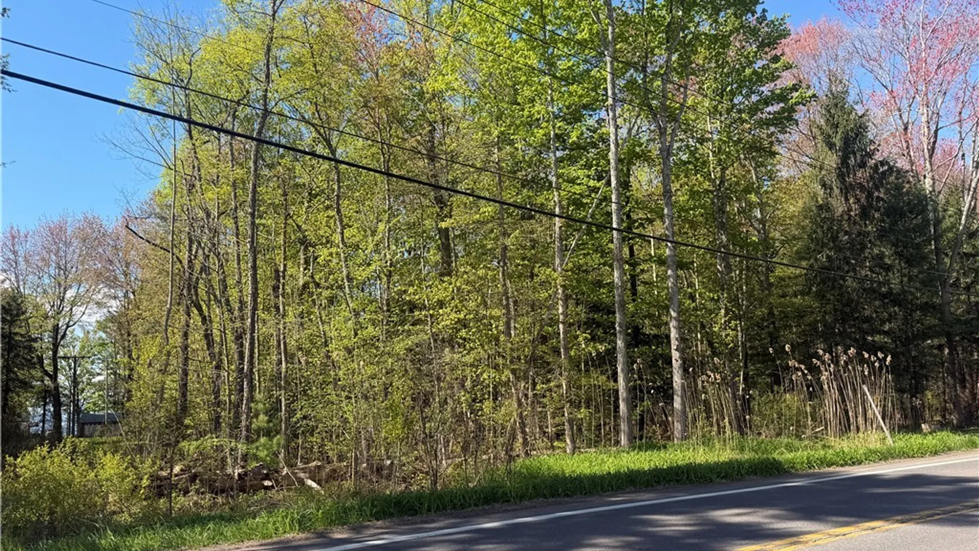 Property at State Route 49, Constantia, NY 13028 22